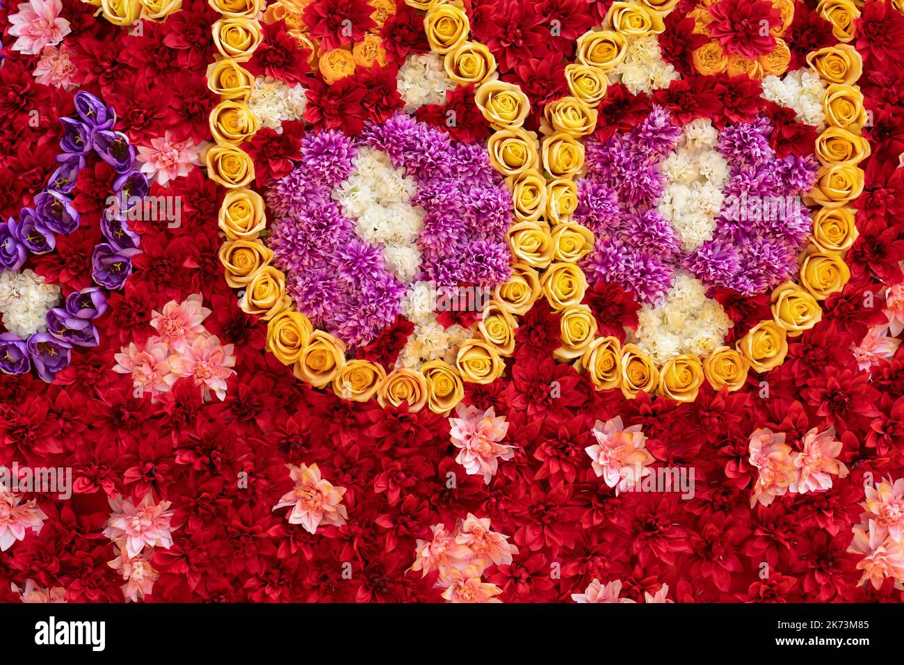 Bella parete fiori colorati sfondo. Foto Stock