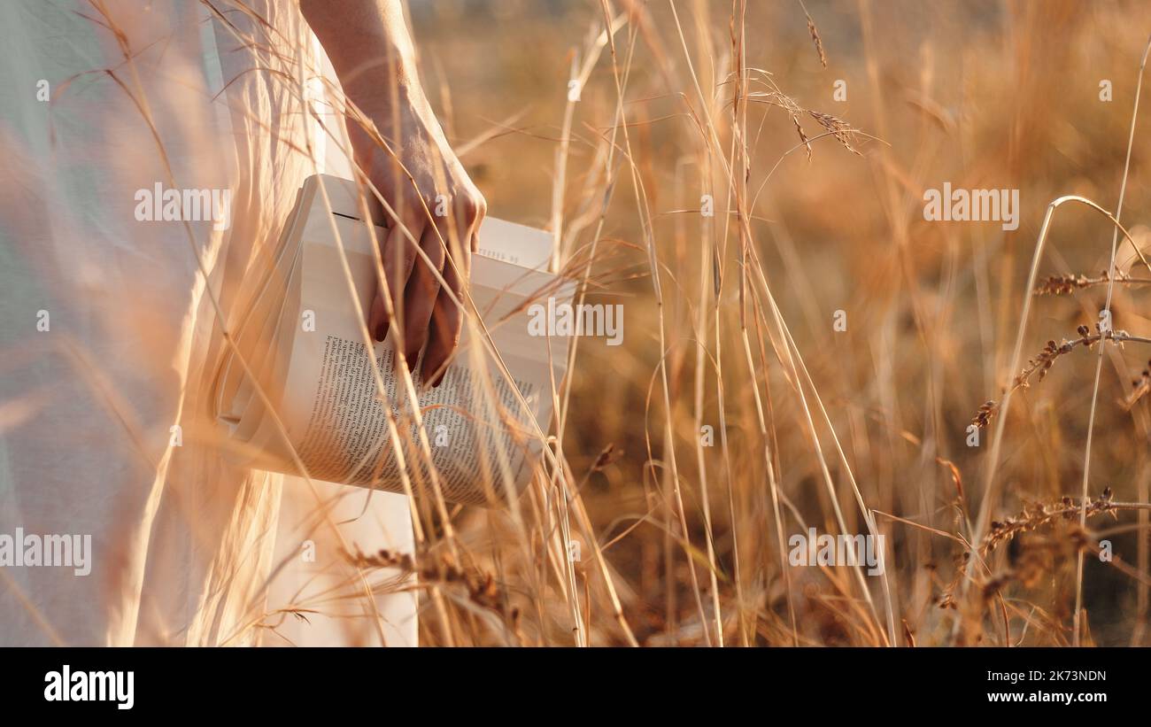 La mano della donna tiene il libro in un campo Foto Stock
