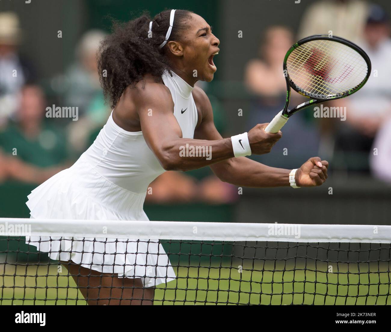 2016, Wimbledon, Centre Court, Women's Singles Final, Serena Williams (USA) contro Angelique Kerber, (GER). Serena Williams festeggia. Foto Stock
