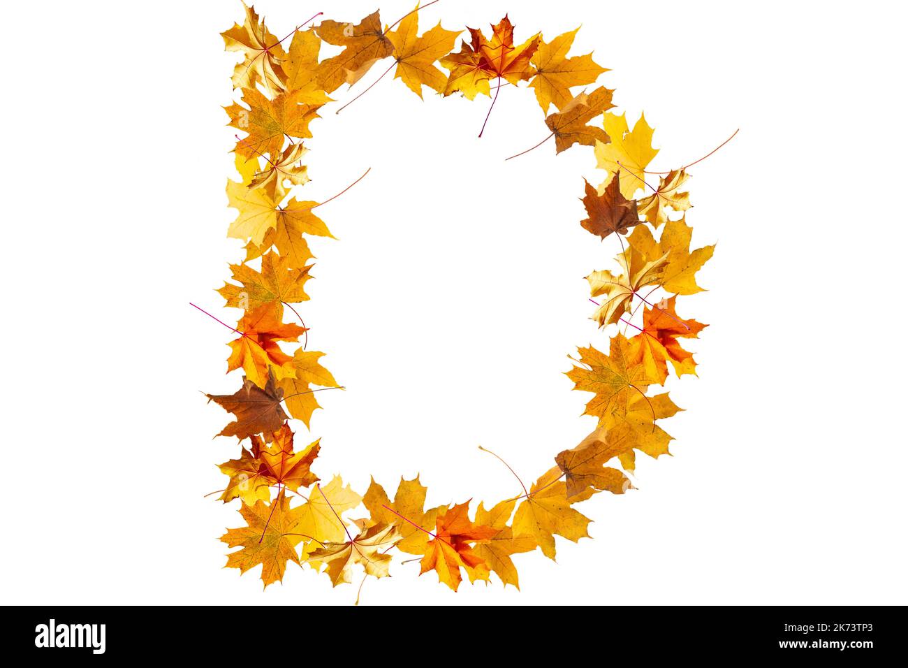 Lettere dell'alfabeto fatte con foglie d'autunno gialle per formare i capitelli su uno sfondo di pietra. La lettera d Foto Stock