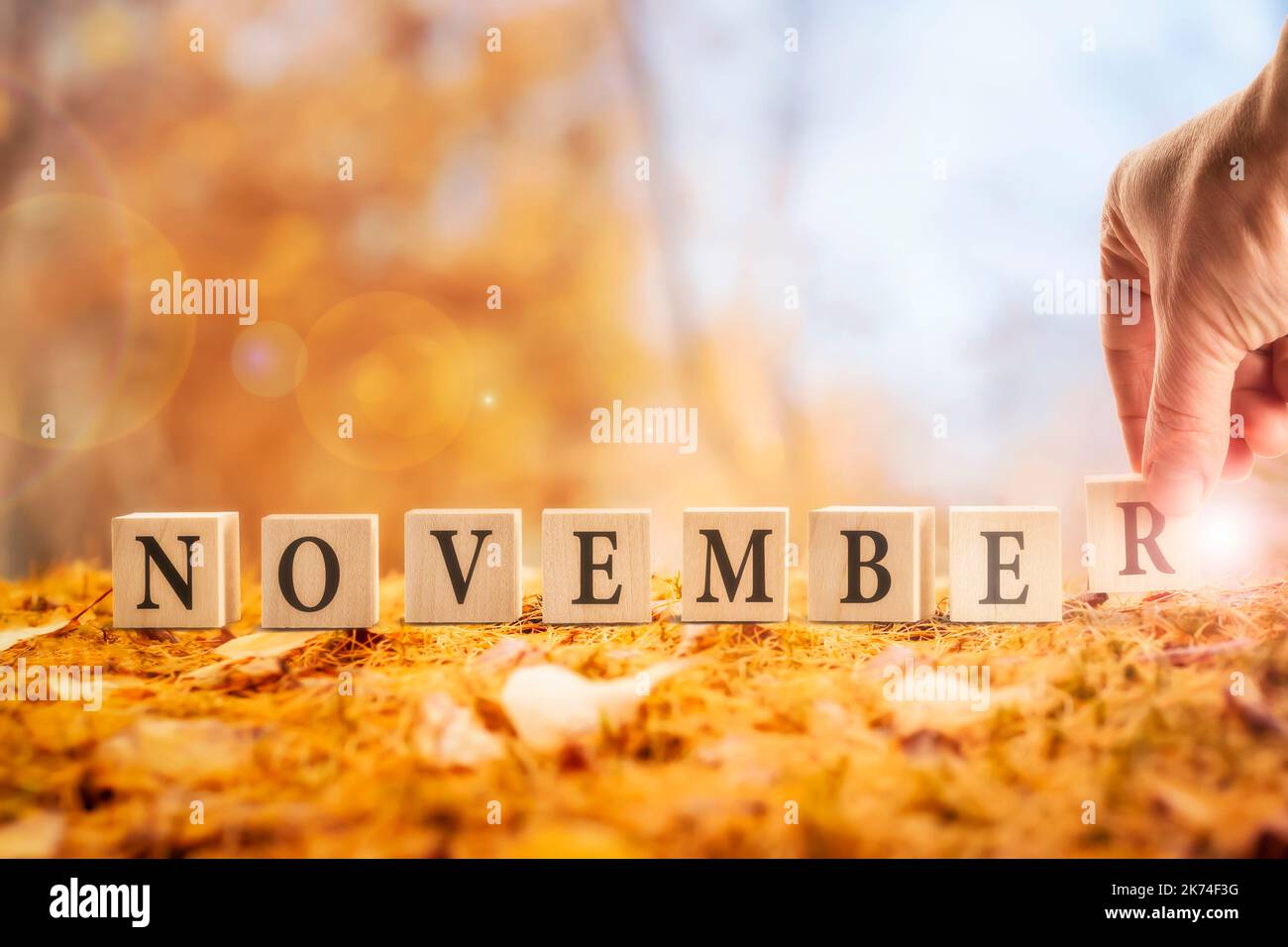 Il mese di novembre. una parola fatta di cubetti che si adagia sullo sfondo di una foresta di arance autunnali. la mano di un uomo presenta le lettere di una parola fr Foto Stock
