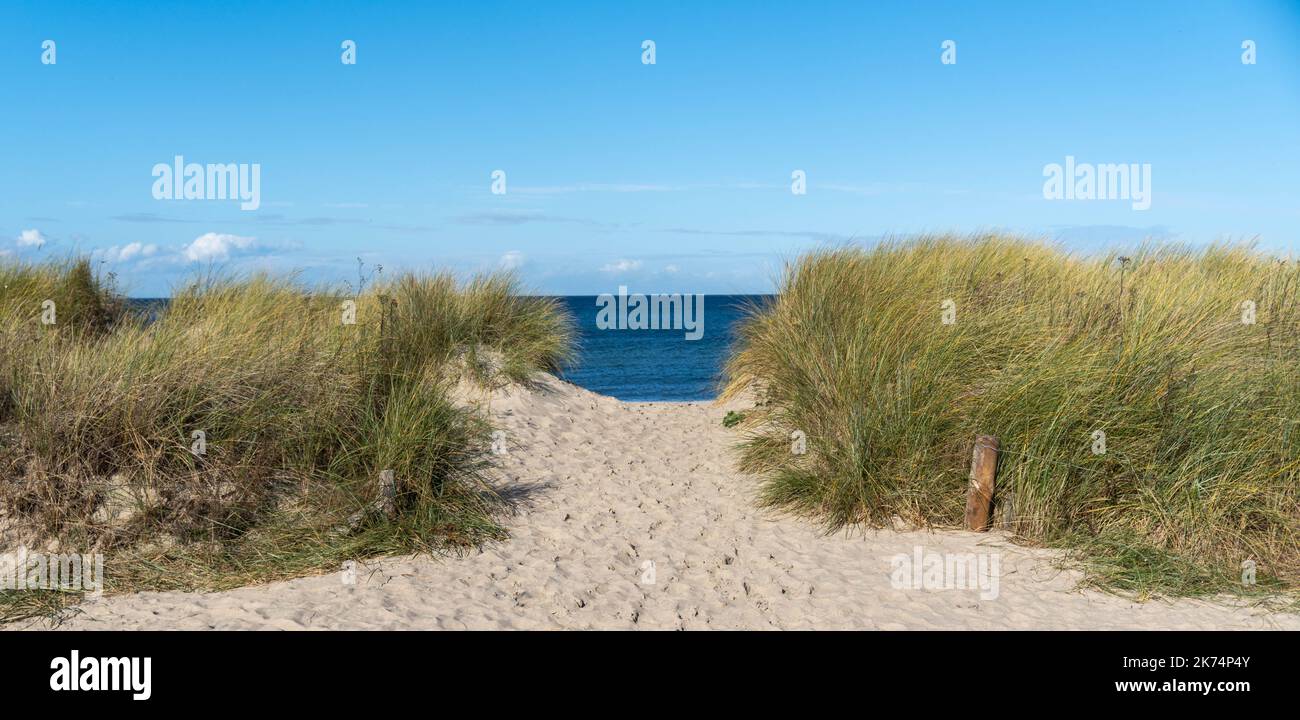 ingresso alla spiaggia attraverso le dune, mar baltico sullo sfondo Foto Stock