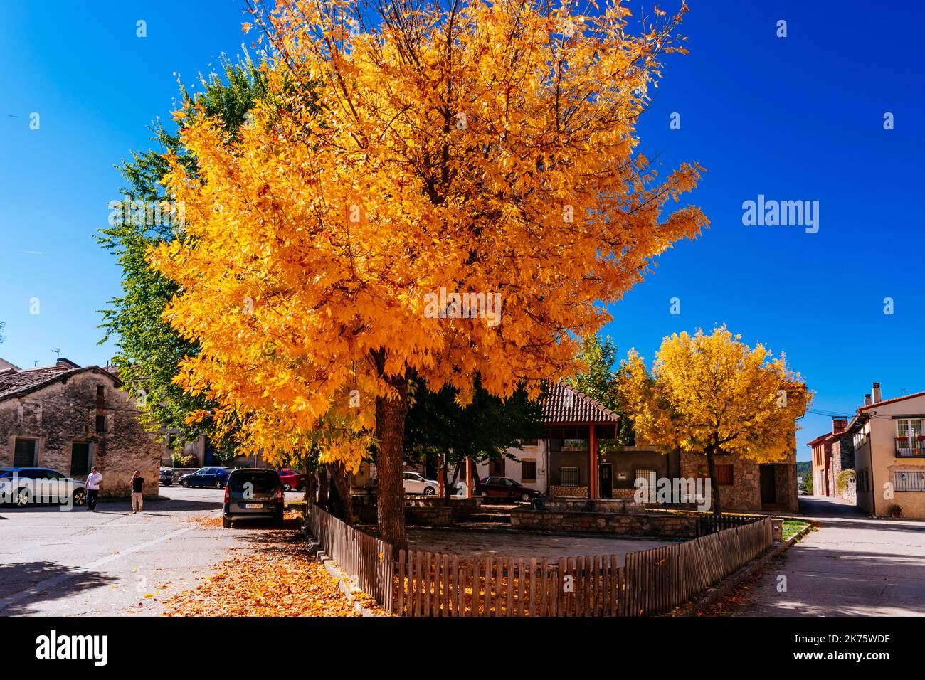 Colori autunnali nelle strade di Tamajón, Guadalajara, Castilla la Mancha, Spagna, Europa Foto Stock