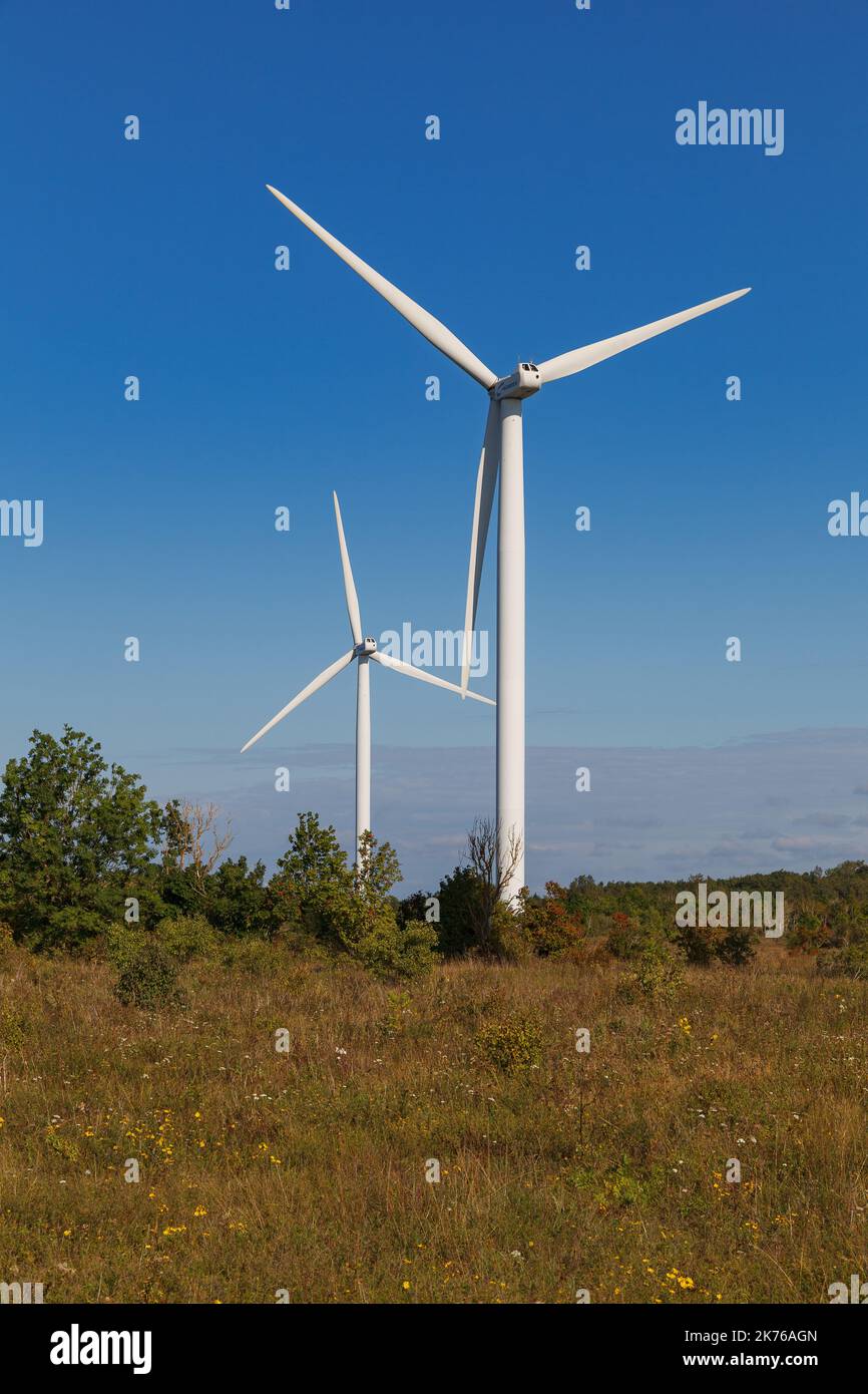Turbine eoliche che producono elettricità, campo a Paldiski, Estonia Foto Stock