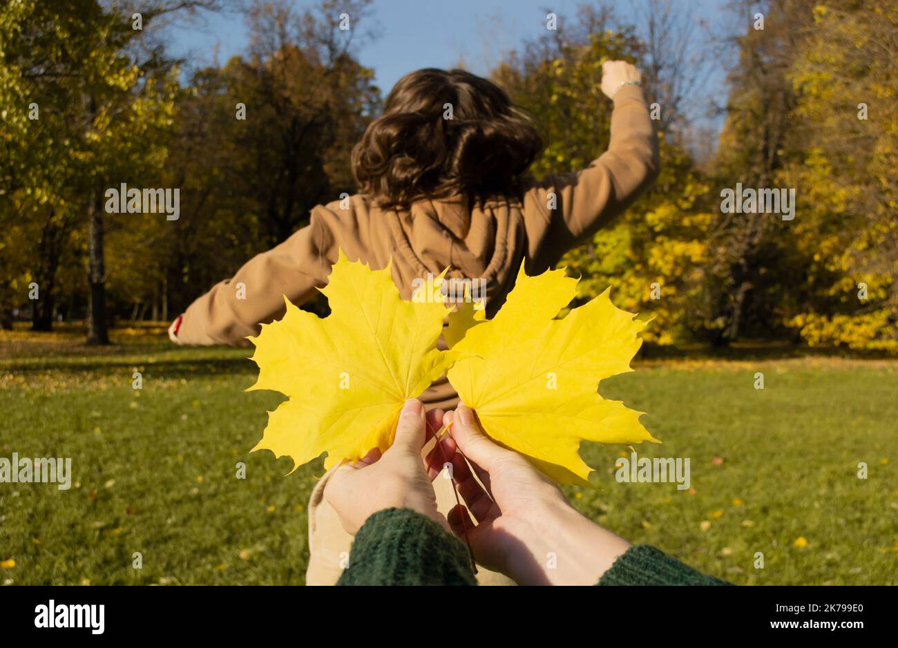 Palme da primo piano che tengono foglie di acero giallo come ali sullo sfondo della donna da dietro, mani in su. Foto Stock