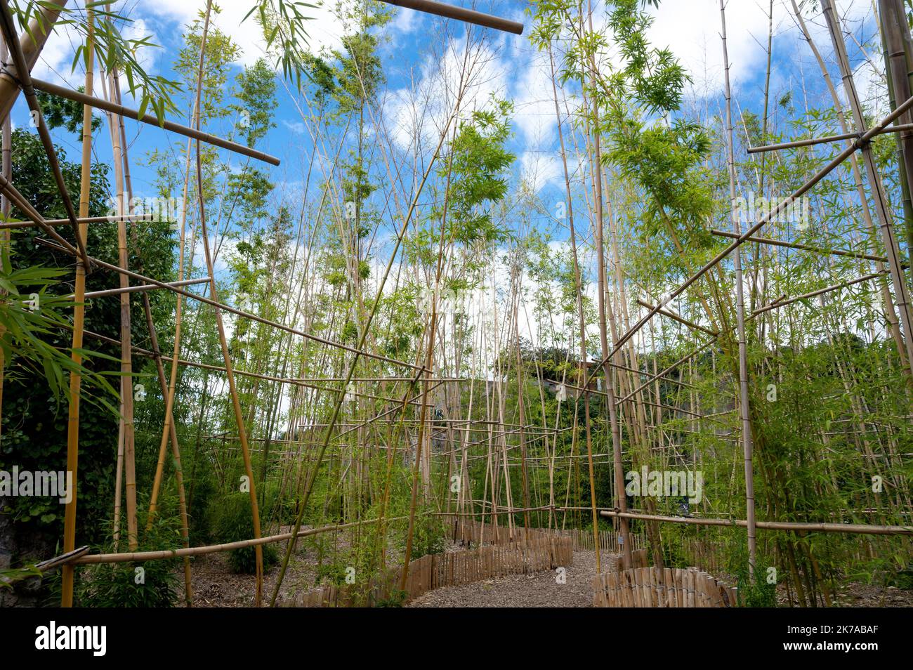 ©PHOTOPQR/OUEST FRANCE/Lucie Weeger ; Nantes ; 28/07/2020 ; le Jardin extraordinaire, à Nantes a été aménagé au sein d'une ancienne carrière de granit désaffectée. L'idée est de recréer l'univers féééérique des Voyages Extraordinaires de Jules Verne dont la maison natale est située tout à proximité qui a par ailleurs guidé le choix de ces plantes luxuriantes. 2020/07/28. Il Giardino straordinario, a Nantes, è stato costruito in una ex cava di granito abbandonato. L'idea è quella di ricreare l'universo magico degli straordinari Viaggi di Jules Verne il cui luogo di nascita si trova molto vicino a cui Foto Stock