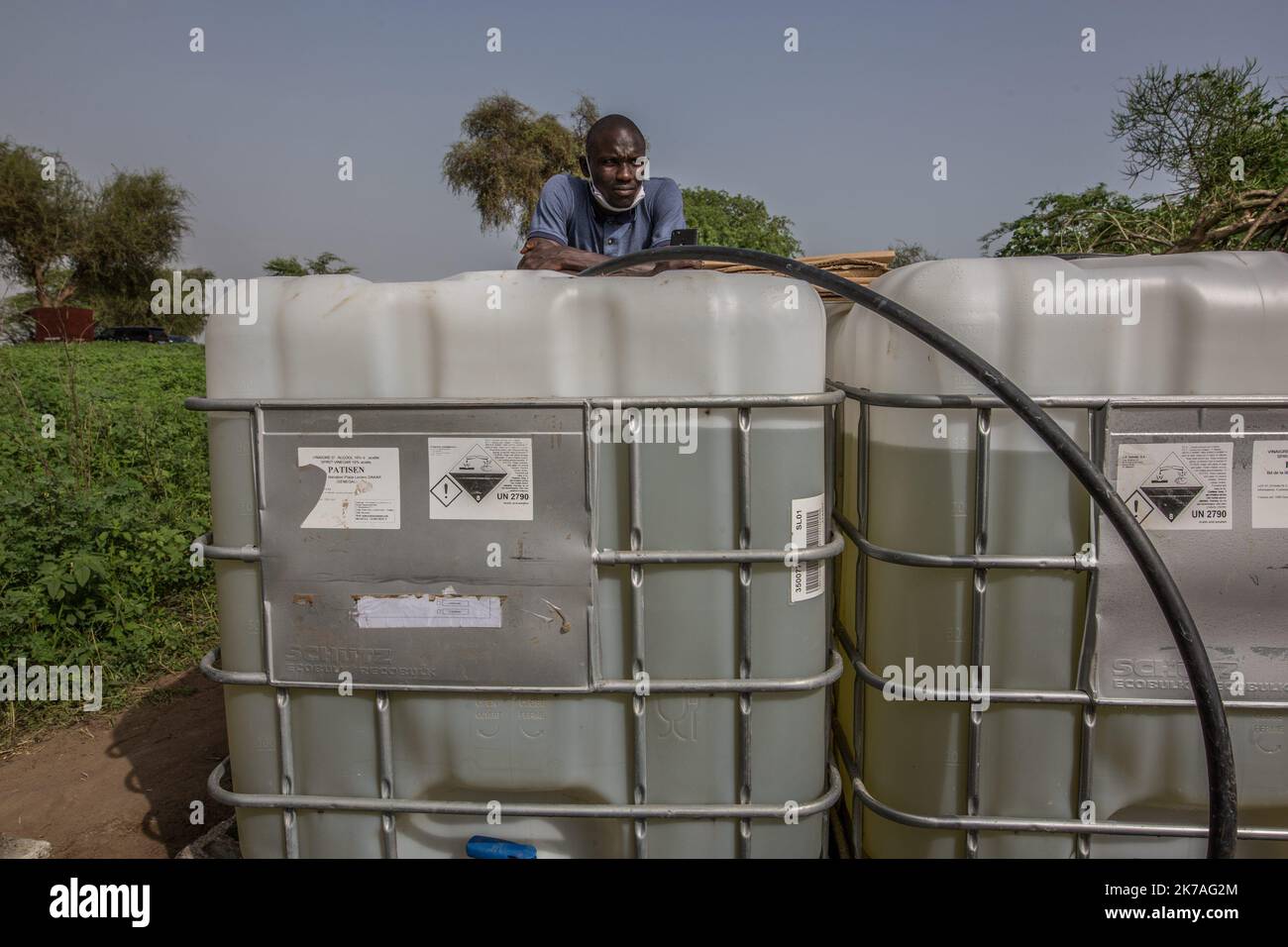 ©Sadak Souici / le Pictorium/MAXPPP - Sadak Souici / le Pictorium - 12/08/2020 - Senegal - l'agence de reforestation a voulu aider ce village sans eau et sans electricite a devenir Plus autonome, de facon ecologique. / 12/08/2020 - Senegal - l'agenzia di rimboschimento voleva aiutare questo villaggio senza acqua ed elettricità a diventare più autonomo, in modo ecologico. Foto Stock