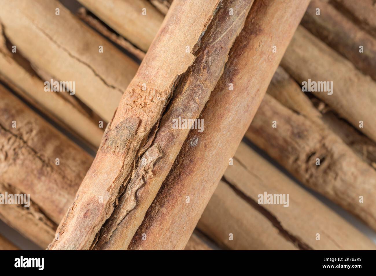 Primo piano abstract di corteccia di cannella / Cinnamomum verum albero. Una spezia comune della cucina che è stata usata anche in erbe / medicina alternativa. Foto Stock