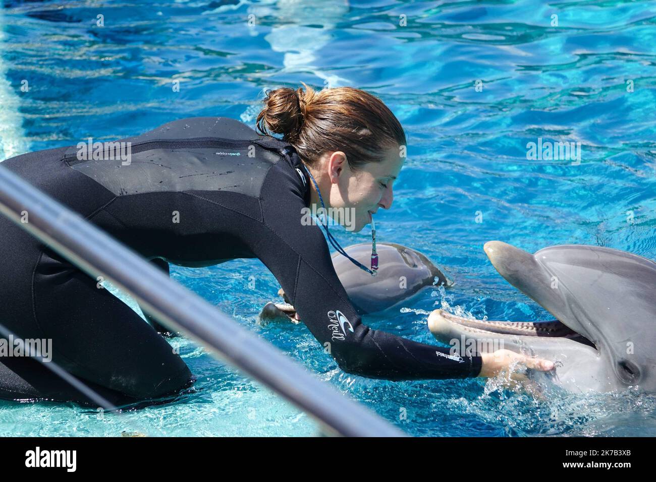 ©PHOTOPQR/OUEST FRANCE/Franck Dubray ; Port Saint Père ; 09/06/2018 ; la ministre de la Transition écologique Barbara Pompili a annoncé la fin progressive de la présence d’animaux sauvages dans les cirques airsi que dans les delphinariums. Spectacle avec dauphin au parc zoo Planete sauvage de Port Saint Père - Francia ha detto Martedì (29 settembre) ha previsto di 'gradualmente' vietare le aziende agricole di visone nel paese, nonché l'uso di animali selvatici nei circhi in viaggio e l'allevamento di delfini e orche in cattività. Foto Stock