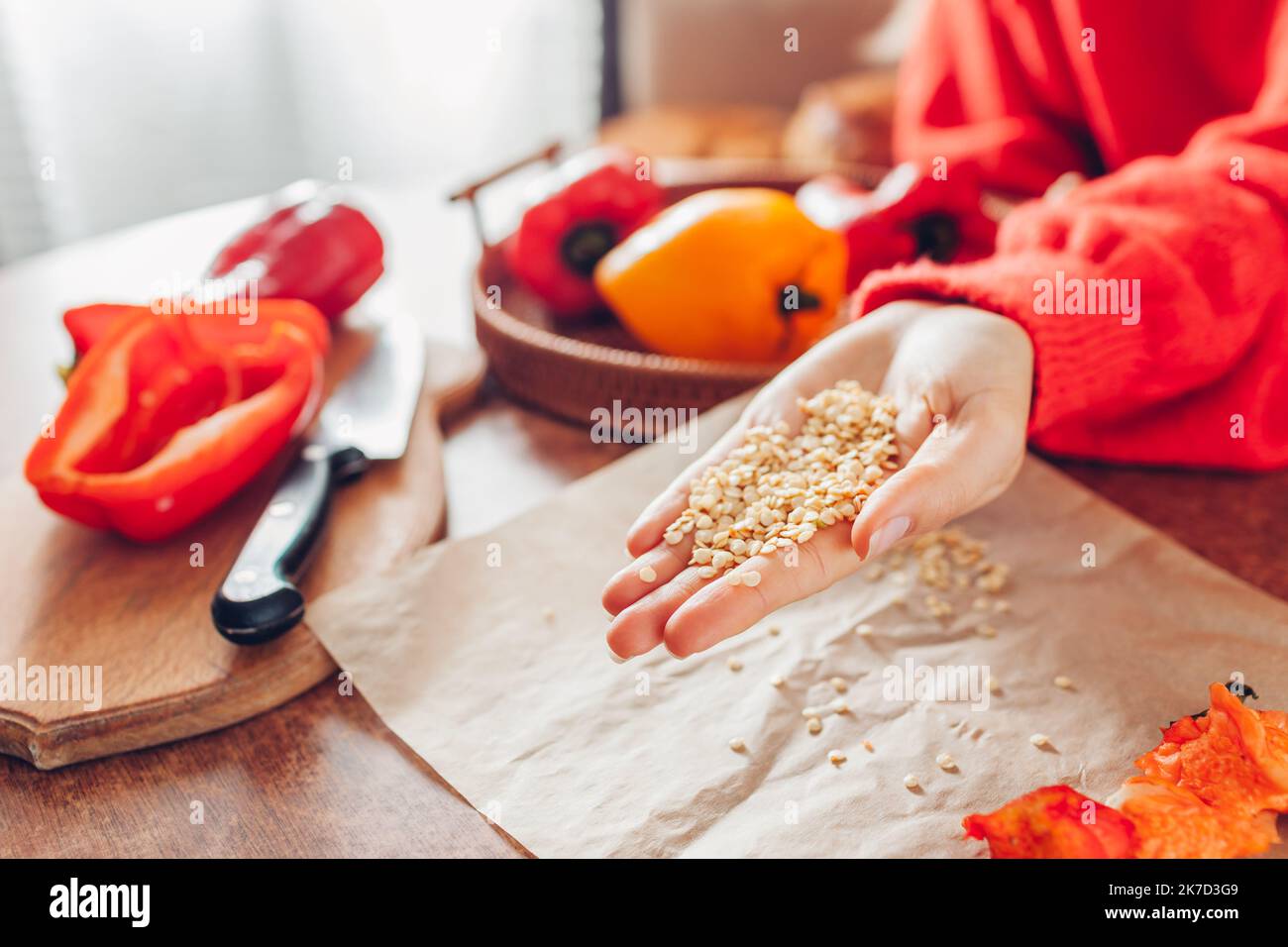 Risparmio di semi di peperone dolce per l'anno nex a casa. Donna giardiniere tiene semi sulla palma. Che propaga vegetali Foto Stock