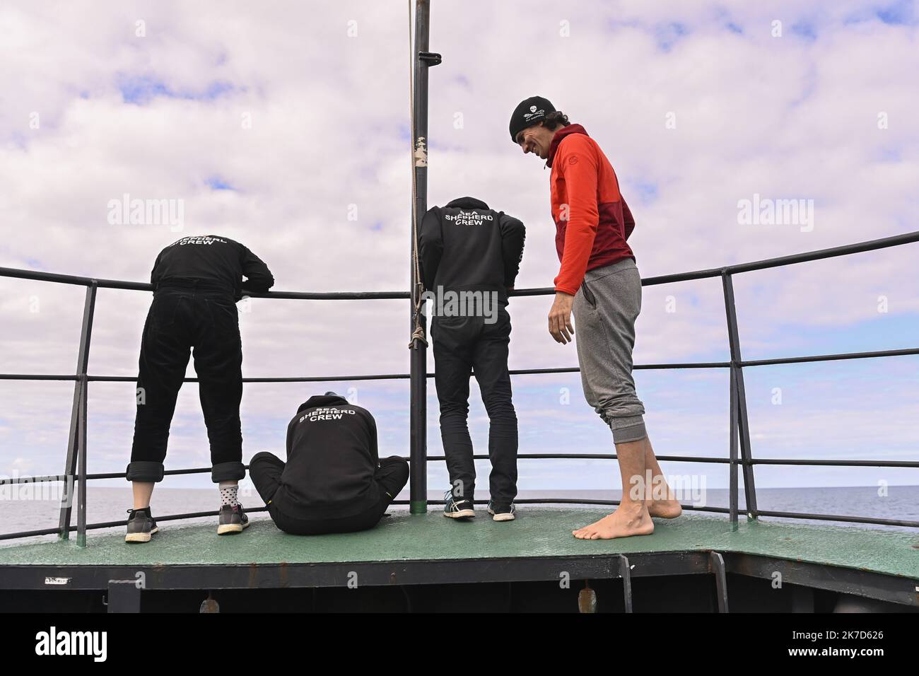 ©PHOTOPQR/OUEST FRANCE/Thomas BREGARDIS ; la Rochelle ; 23/03/2021 ; Reportage à bord du Sam Simon, l'un des navire de l'ONG Sea Shepherd, Lors de l'opération delfino bycatch. Opération qui a pour but d'alerter sur le sort des dauphins le long des Côtes franceses dans le Golfe de Gascogne. Les équipes de Sea Shepherd assistent depuis un semi-rigide aux remontées de filets pour vérifier la présence éventuelle de dauphins. Effervescenza à l'avant du bateau pour les membres d'équipage, des dauphins communs viennent jouer avec les Vagues Foto: Thomas Brégardis / Ouest-France - relazione a bordo del Foto Stock