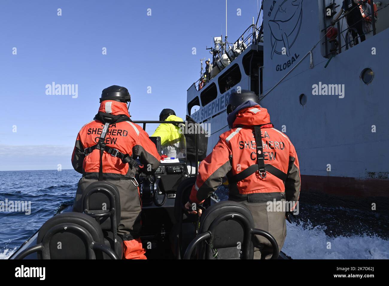 ©PHOTOPQR/OUEST FRANCE/Thomas BREGARDIS ; la Rochelle ; 23/03/2021 ; Reportage à bord du Sam Simon, l'un des navire de l'ONG Sea Shepherd, Lors de l'opération delfino bycatch. Opération qui a pour but d'alerter sur le sort des dauphins le long des Côtes franceses dans le Golfe de Gascogne. Les équipes de Sea Shepherd assistent depuis un semi-rigide aux remontées de filets pour vérifier la présence éventuelle de dauphins. Depuis le semi-rigide 'Viking', en arrière plan le Sam Simon. Foto: Thomas Brégardis / Ouest-France - relazione a bordo del Sam Simon, una delle navi ONG Sea Shepherd, durante Foto Stock