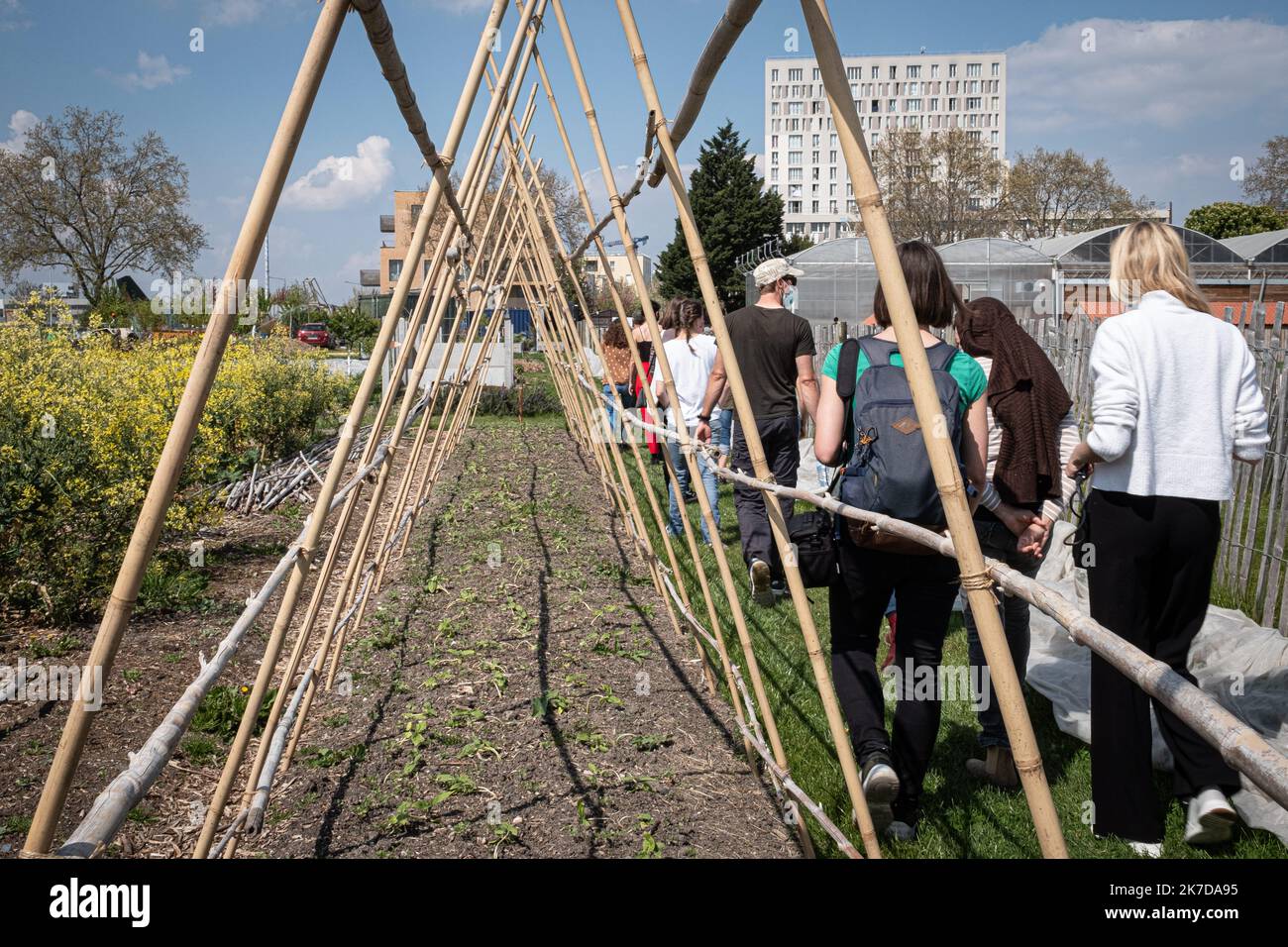 ©Olivier Donnars / le Pictorium/MAXPPP - Olivier Donnars / le Pictorium - 20/4/2021 - Francia / Ile-de-France / Saint-Denis - Au jardin de l'Association zone Sensible, a Saint-Denis (93),des etudiants participant a une operation porte-ouverte de cette ferme urbaine. Du 15 avril au 15 mai 2021, plusieurs fermes urbaines de Paris et sa banlieue ouvrent leurs portes aux etudiants pour rompre l'isolement et reapprocher les jeunes Generations de la nature. / 20/4/2021 - Francia / Ile-de-France (regione) / Saint-Denis - nel giardino dell'associazione zona sensibile, a Saint-Denis (93), gli studenti partic Foto Stock