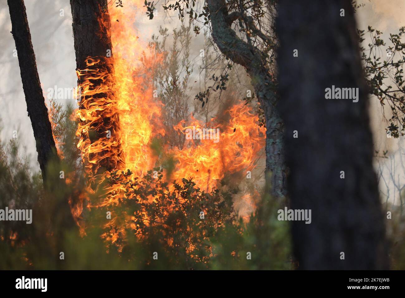 ©PHOTOPQR/NICE MATIN/LUC BOUTRIA LE 18 08 2021 VAR - Incendies à vidauban incendi boschivi nel sud della Francia - Var, Vidauban 18 agosto 2021 Foto Stock