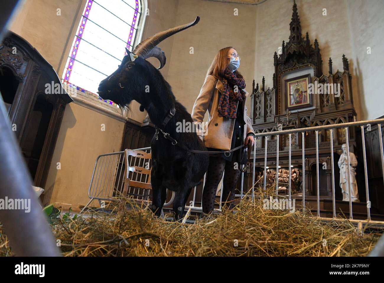 ©PHOTOPQR/VOIX DU NORD/PIERRE ROUANET ; 17/10/2021 ; 17/10/2021. Moutons, chèvres, chevaux, chiens, chat, oiseaux et autres bêtes à plumes et à poils, à la messe. Une messe de bénédiction des animaux, célébrée ce dimanche matin dans le cadre de la saint Francais d’Assise, à Escaudain, dans l’église Saint-Martin (religione, catholique, christianisme). FOTO PIERRE ROUANET LA VOIX DU NORD - Benedici i tuoi animali nella festa di San Francesco d'Assisi Francia, Escaudain 17 ottobre 2021 Foto Stock