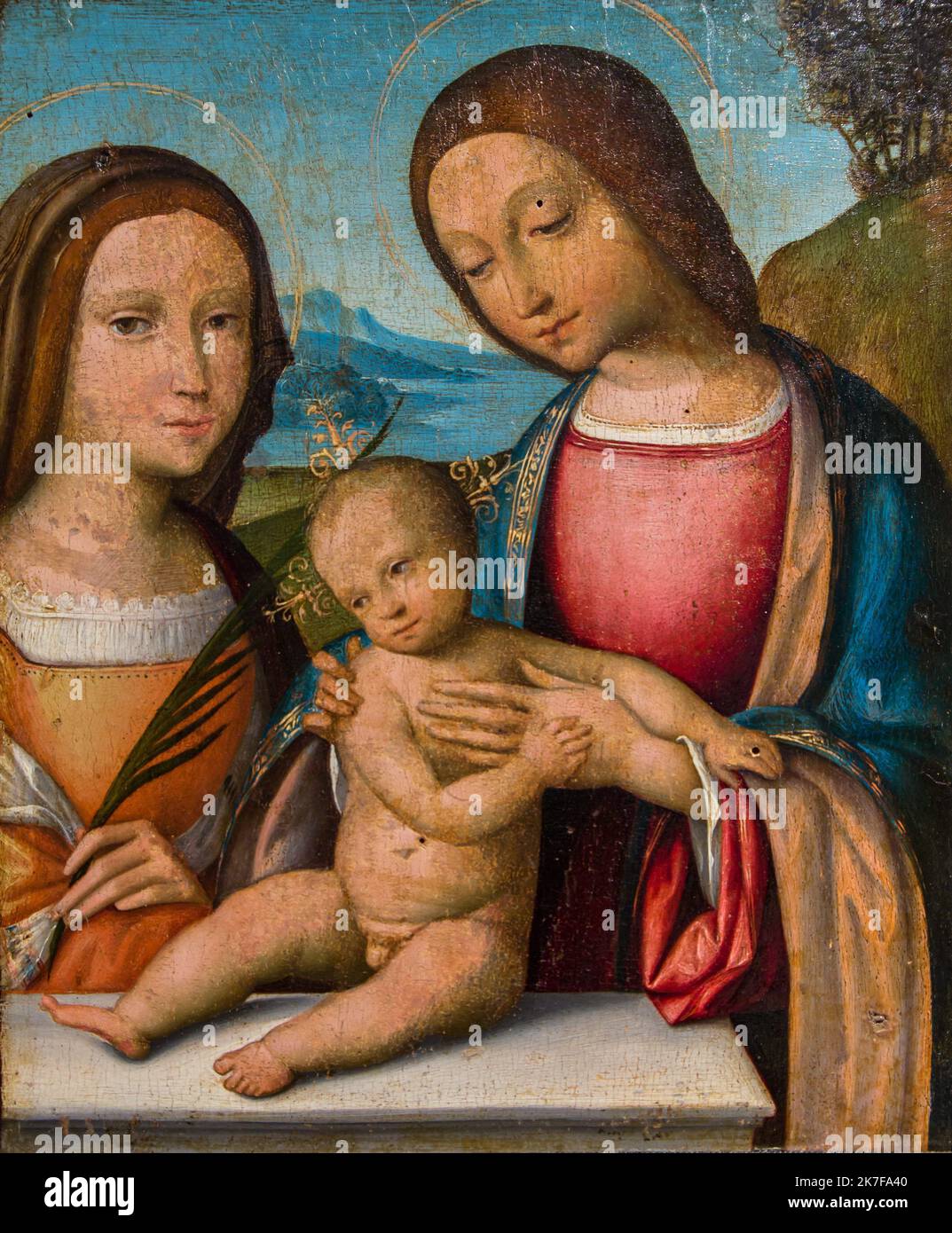 ©Active Museu/MAXPPP - ActiveMuseum 0002909.jpg / la Vierge et l'Enfant Jesus avec une sainte martyre 1500 - / Benvenuto Tisi (il Garofalo) / Peinture Active Museum / le Pictorium Baby ,Catholic (adj and sostun) ,Catholicism ,Christian ,Christianity (religione) ,pittura figurativa ,Gesù Cristo ,Maria (madre di Gesù) ,Religione ,religiosa ,Santa () ,verticale ,Vergine Maria ,16th ° secolo ,Benvenuto Tisi (il Garofalo) ,Pittura , Foto Stock