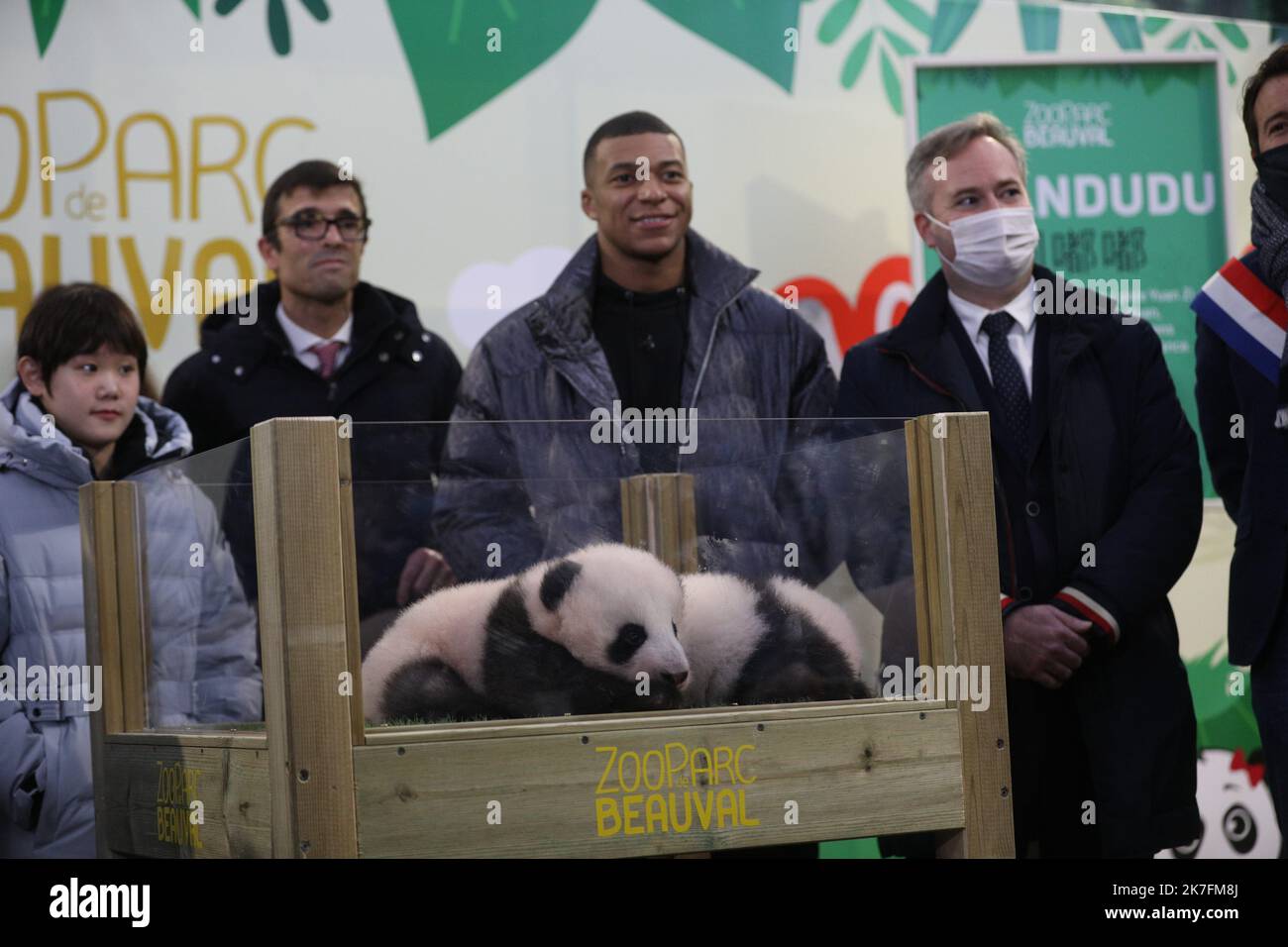 ©PHOTOPQR/LA NOUVELLE REPUBLIQUE/Jerome Dutac BEAUVAL 18/11/2021 CEREMONIE DE BPTEME DES BEBES PANDAS NE CET ETE la championne olympique chinoise Zhang Jiaqi et Kilian Mbappé, la marraine et le parrain des deux bébés pandas du zoo de Beauval. ZooParc de Beauval, Francia, nov 18th 2021 cuccioli di panda gemellati di -Huan-Huan, la femmina Panda prestata dalla Cina allo zoo di Beauval, cerimonia del battesimo. Il campione olimpico cinese Zhang Jiaqi e il campione di calcio francese Kylian Mbappé sono la madrina e il padrino dei due pandas Foto Stock