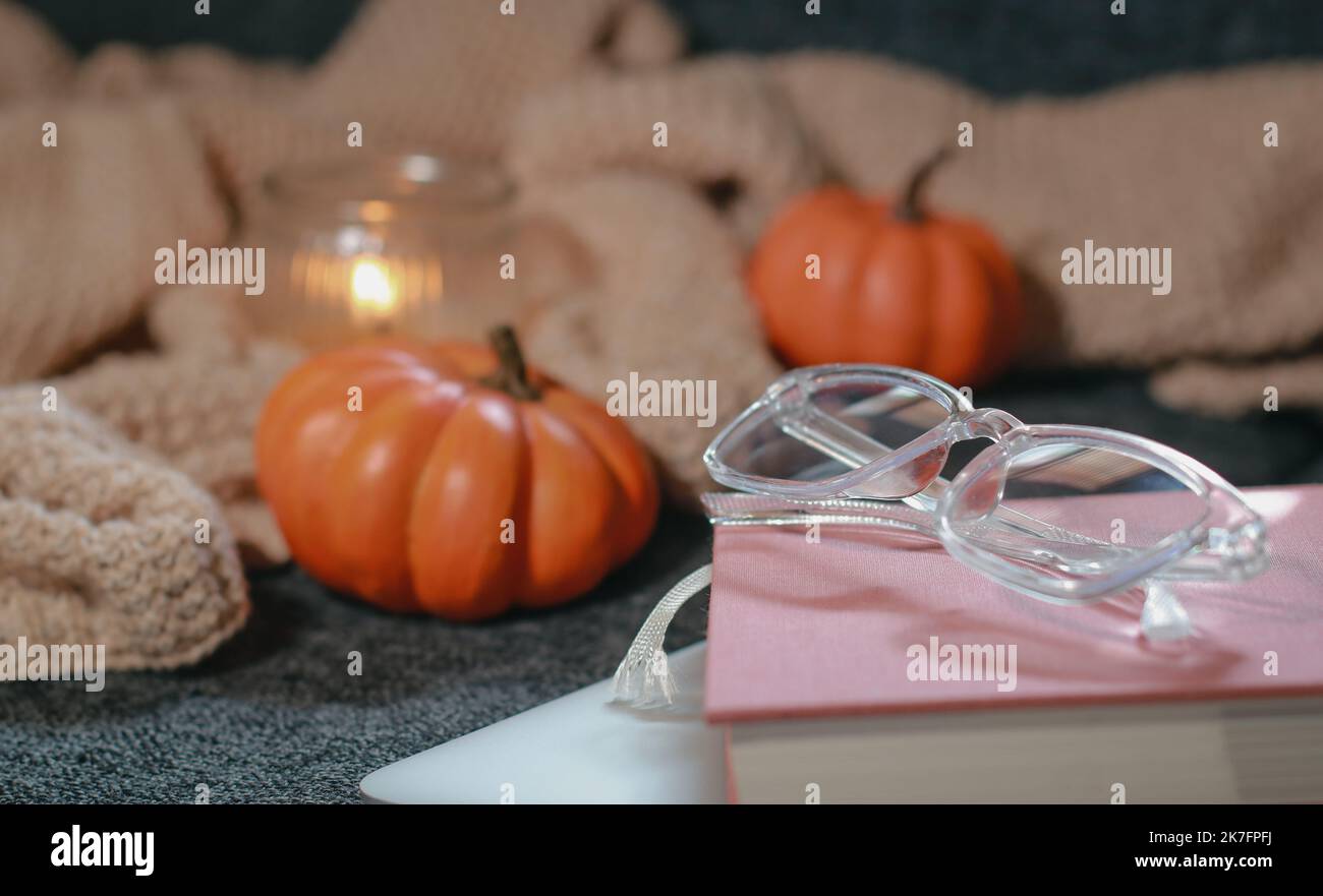 Zucche piccole, intime coperte a maglia, notebook e bicchieri sul divano Foto Stock