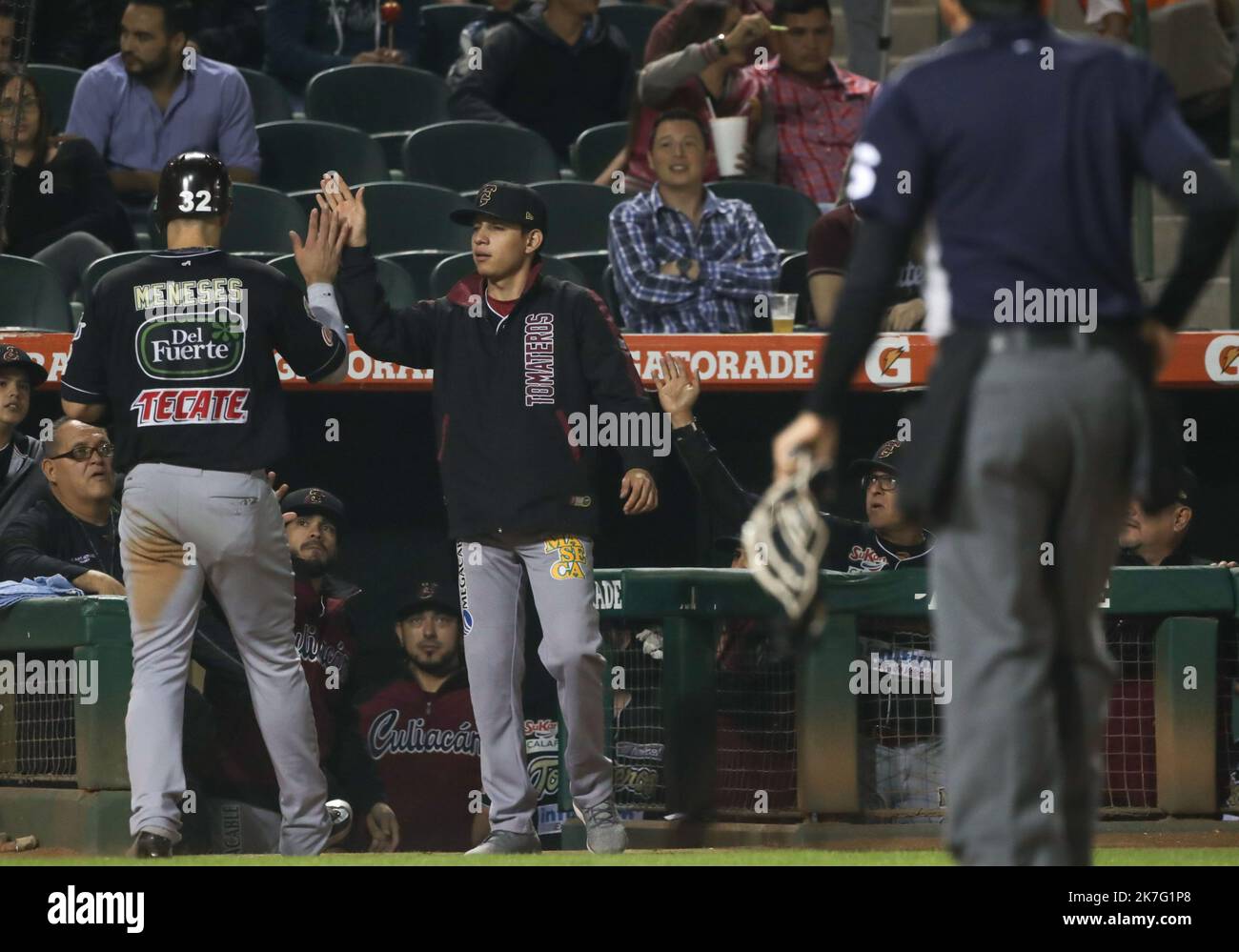 Joey Meneses de tomateros celebra carrera, dura 3er.. encuentro de la serie de beisbol entre Tomateros vs Naranjeros. Segunda Vuelta de la Temporada 2016 2017 de la Liga Mexicana del Pacifico. (LMP)***** ©Foto: LuisGutierrez/NortePhoto Foto Stock