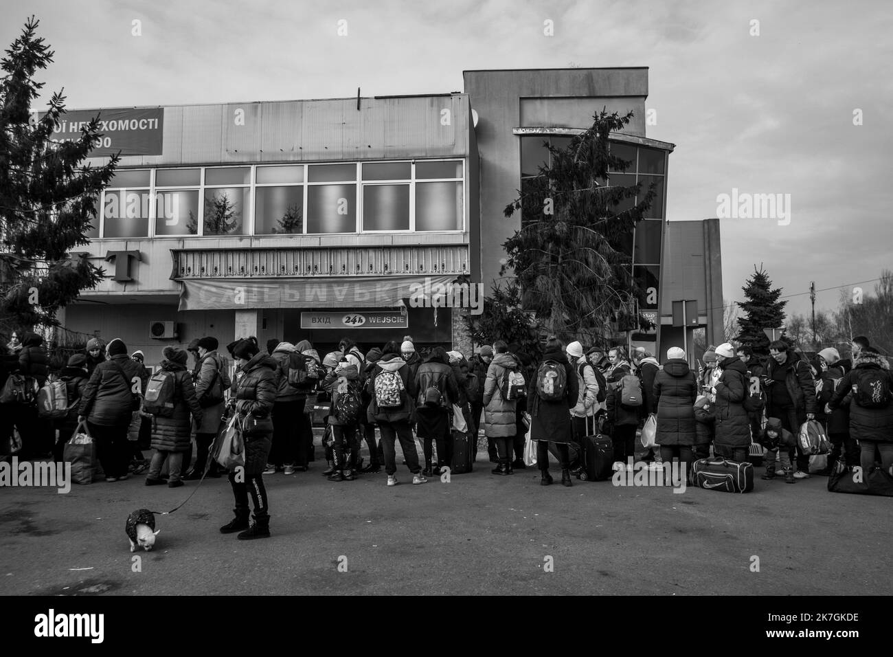 ©Michael Bunel / le Pictorium/MAXPPP - Shehynil 03/03/2022 Michael Bunel / le Pictorium - 3/3/2022 - Ucraina / Shehynil - Plusieurs centaines de husties ukrainiens attend de pouvoir passer en Poulogne via le poste frontiere de Shehynil - Medyka. Selon l'ONU, depuis le debut de l'invasion de l'Ukraine par l'armee russe, pres d'un million de personnes auraient fuit le Pays. 3 marzo 2022. Shehynil, Poulogne. / 3/3/2022 - Ucraina / Shehynil - centinaia di rifugiati ucraini aspettano di attraversare la Polonia attraverso il confine Shehynil - Medyka. Secondo le Nazioni Unite, dall'inizio dell'i Foto Stock