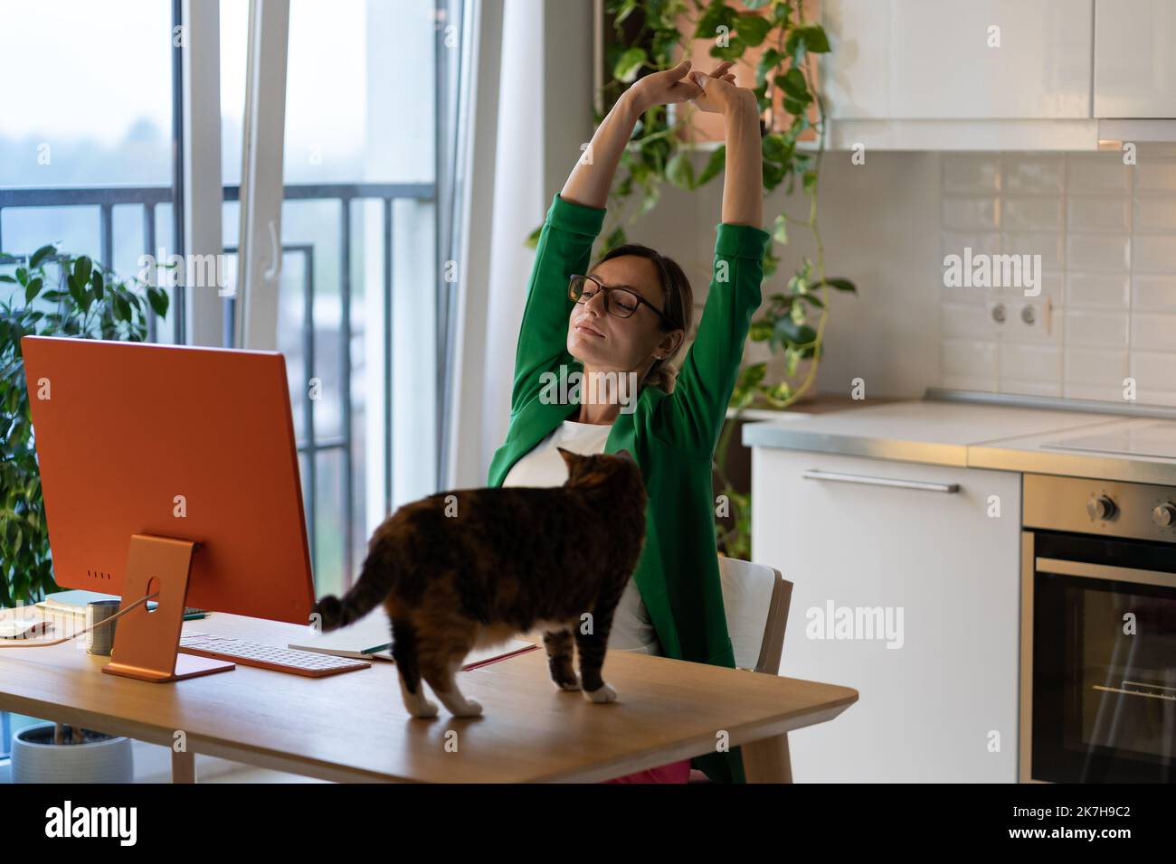 Donna disturbata da gatto in piedi sul tavolo in ufficio a casa. L'animale domestico vuole ricevere l'attenzione del proprietario Foto Stock