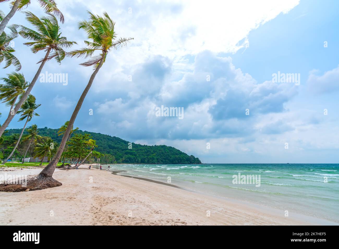 Mare con palme tropicali sulla bellissima spiaggia di sabbia di Sao nell'isola di Phu Quoc, Vietnam Foto Stock