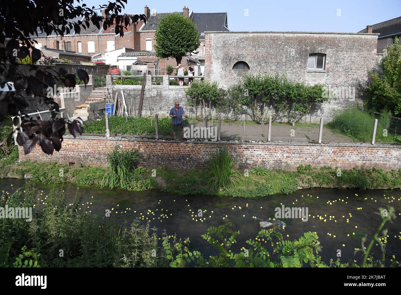 ©PHOTOPQR/VOIX DU NORD/PIERRE ROUANET ; 18/06/2022 ; le Cateau Cambresis, le 18/06/2022. Course de canards en plastique sur la Selle, au Cateau Cambresis. L’associazione Les CH’tis Coureurs, qui lache 10 000 canards en plastique jaune, souhaite recoulter des fonds pour les personnes atteintes d’un cancer. FOTO PIERRE ROUANET LA VOIX DU NORD le Cateau Cambresis, 06/18/2022. Gara d'anatra in gomma sulla Selle, a Cateau Cambresis. L’associazione Les CH’tis Coureurs, che fa cadere 10.000 anatre di plastica gialle, vuole raccogliere fondi per le persone affette da cancro Foto Stock