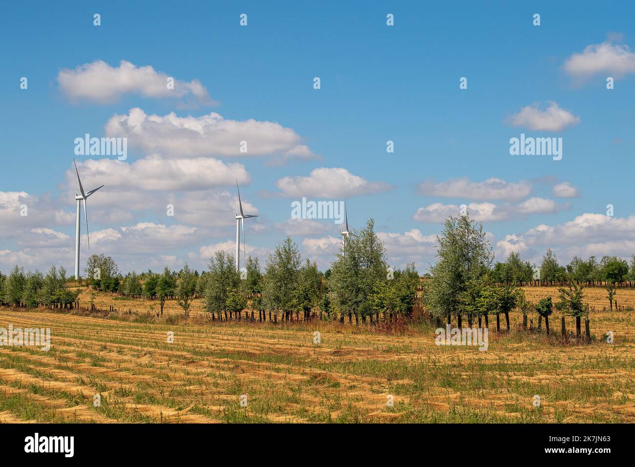 ©PHOTOPQR/VOIX DU NORD/PASCAL BONNIERE ; 09/07/2022 ; RAMECOURT 09.07.2022 Plantation de haies dans des champs PHOTO PASCAL BONNIERE / LA VOIX DU NORD Outil clé de la biodiversité, les haies en bordure de champs et l'agroforesterie intrapellaire permeteurs d'abriteurs des culture, animaux de toutes, prélies de toutes, animaux de tourisprégies, animaux de tens, animaux de toutes la qualité et l’infiltrazione de l’eau dans le sol, stocker du carbone et s'adapter au changement climatique. Uno strumento chiave per la biodiversità, siepi confinanti con i campi e agroforestry intrappezzamento fornire rifugio f Foto Stock