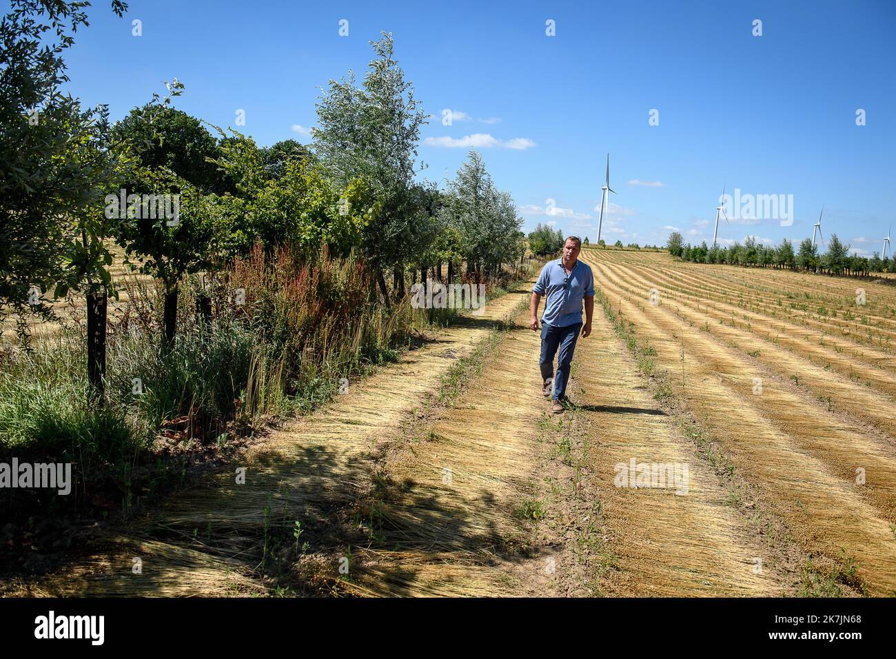 ©PHOTOPQR/VOIX DU NORD/PASCAL BONNIERE ; 09/07/2022 ; RAMECOURT 09.07.2022 Plantation de haies dans des champs . Antoine Dequidt . PHOTO PASCAL BONNIERE / LA VOIX DU NORD Outil clé de la biodiversité, les haies en bordure de champs et l'agroforesterie intraparcellaire permettent d'abriter des animaux auxiliaires de Cultures (pollinisateurs, prédateurs de ravageurs), lutter contre l’éroésion des sciolins, sol d’en la filtration, stocker du carbone et s'adapter au changement climatique. Uno strumento chiave per la biodiversità, le siepi confinanti con i campi e l'agroforest intra-plot Foto Stock