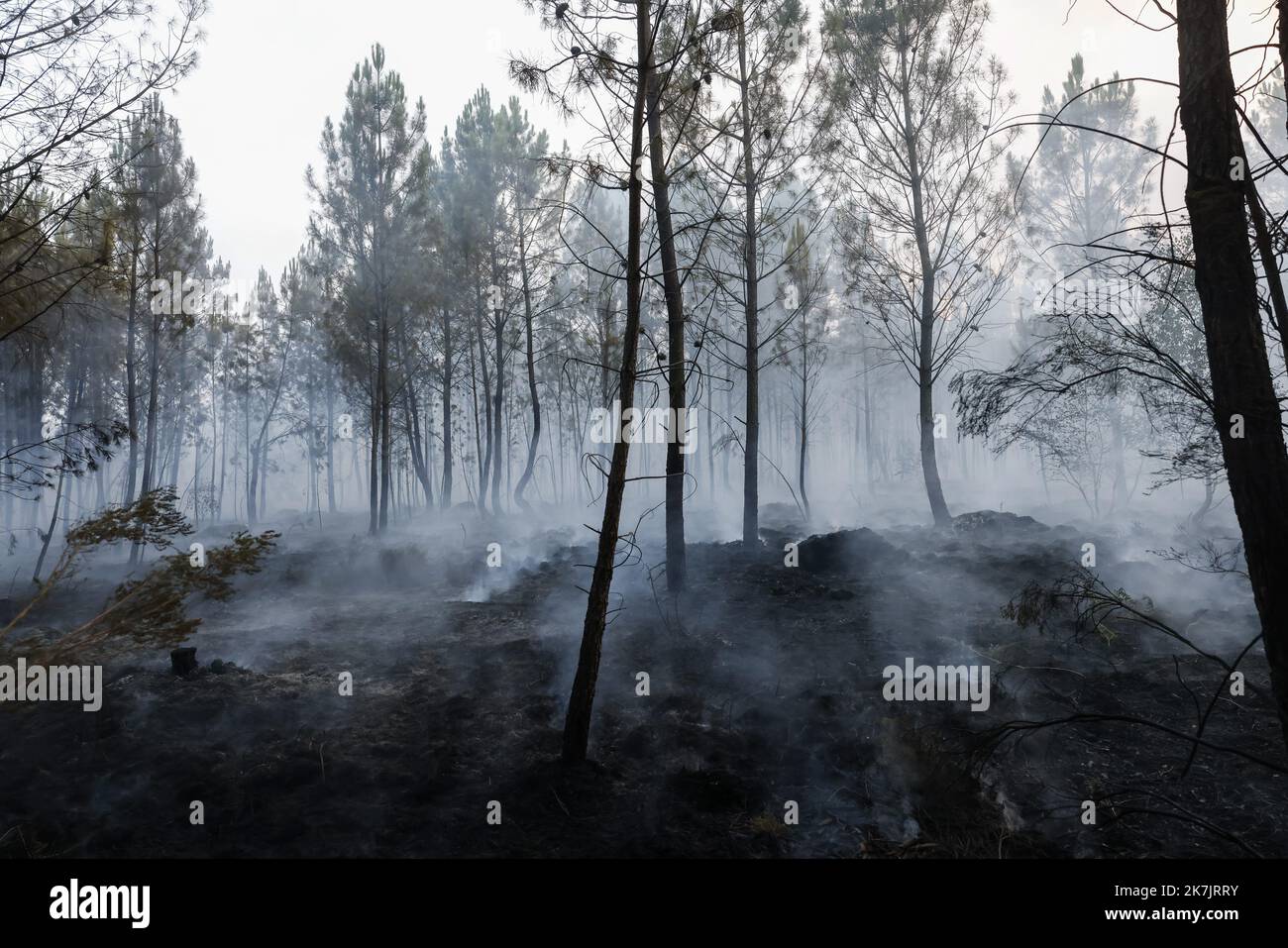 ©PHOTOPQR/LE PARISIEN/olivier corsan ; Villandraut ; 16/07/2022 ; Landiras, 33, Francia, le 16 juillet 2022. Les sapeurs pompiers luttent contre l'incendie qui dévaste la Gironde photo : LP / Olivier CORSAN - Fire in Gironde, sud della Francia 17 luglio 2022 Foto Stock