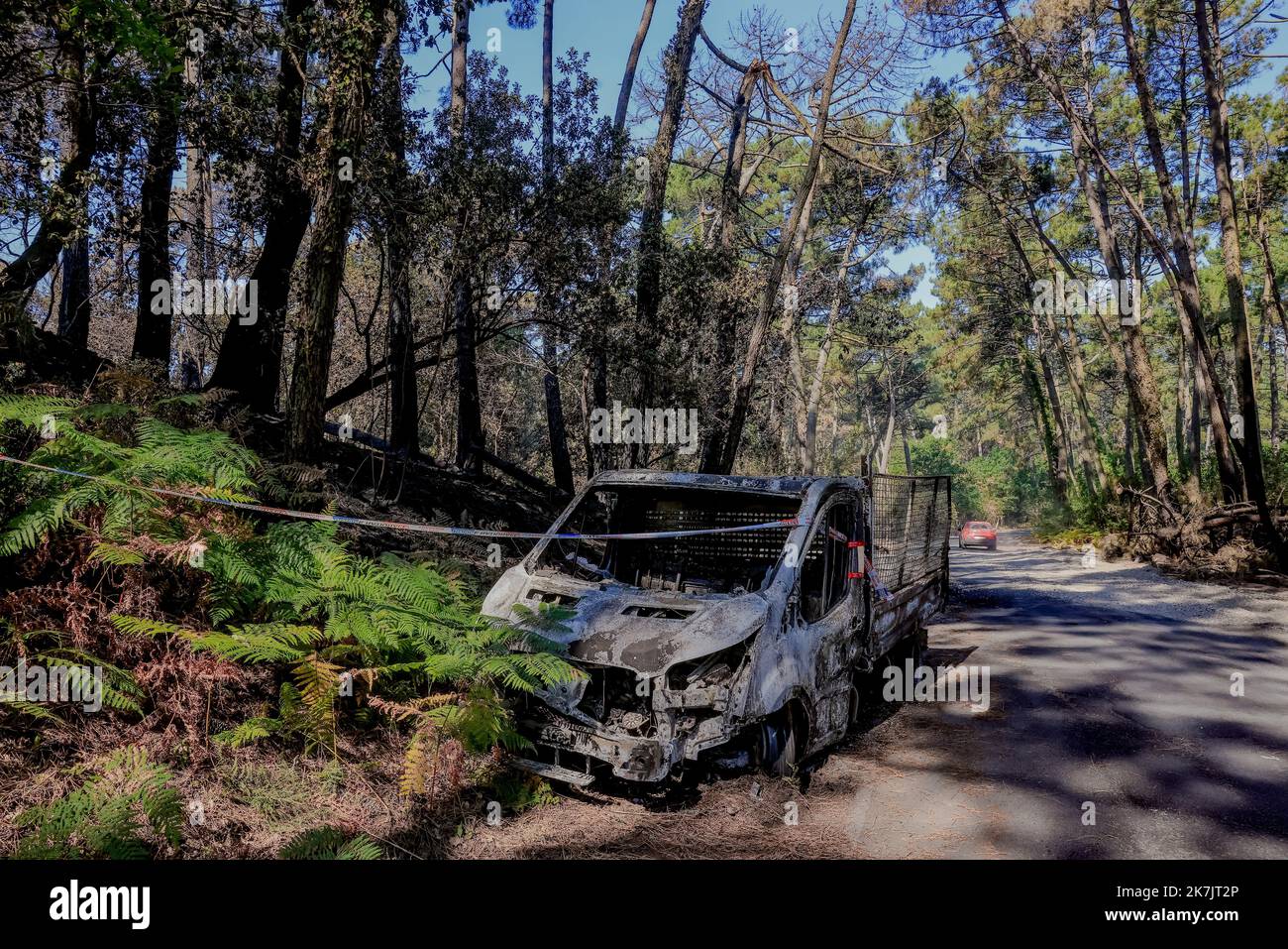 Â-PHOTOPQR/SUD OUEST/GUILLAUME BONNAUD ; BORDEAUX ; 18/07/2022 ; LE 18 JUILLET 2022 / A LA TESTE / INCENDIE DE GIRONDE / PH GUILLAUME BONNAUD / AUTOUR DE LA ROUTE 214 LES POMPIERS AGRANDISSENT LA ROUTE EN FAISANT TOMBER DES ARBRES AFIN DE CREER DES PAR-FEUX - GIRONDE FIRE / 16.000 PERSONE EVACUATE IL LUNEDÌ, Â€œa molto complicato situationÂ€ INTORNO ALLA ROTTA 214 I VIGILI DEL FUOCO ESPANDONO LA STRADA FACENDO CADERE ALBERI PER CREARE FIREWALL Foto Stock