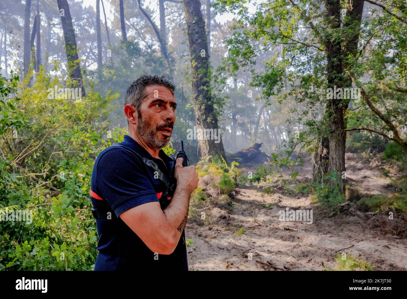 Â-PHOTOPQR/SUD OUEST/GUILLAUME BONNAUD ; BORDEAUX ; 18/07/2022 ; LE 18 JUILLET 2022 / A LA TESTE / INCENDIE DE GIRONDE / PH GUILLAUME BONNAUD / AUTOUR DE LA ROUTE 214 LES POMPIERS AGRANDISSENT LA ROUTE EN FAISANT TOMBER DES ARBRES AFIN DE CREER DES PAR-FEUX - GIRONDE FIRE / 16.000 PERSONE EVACUATE IL LUNEDÌ, Â€œa molto complicato situationÂ€ INTORNO ALLA ROTTA 214 I VIGILI DEL FUOCO ESPANDONO LA STRADA FACENDO CADERE ALBERI PER CREARE FIREWALL Foto Stock