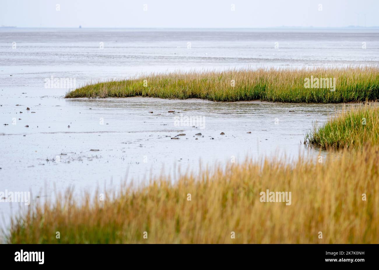 Dangast, Germania. 17th Ott 2022. Le paludi saline si estendono lungo la Baia di Giada con la bassa marea. Il Wadden Sea, patrimonio mondiale dell'umanità, si estende lungo la costa del Mare del Nord dai Paesi Bassi alla Germania fino alla Danimarca. Per 25 anni, un piano trilaterale è servito come base comune per la politica e l'amministrazione per proteggere l'area del Mare di Wadden. Credit: Hauke-Christian Dittrich/dpa/Alamy Live News Foto Stock