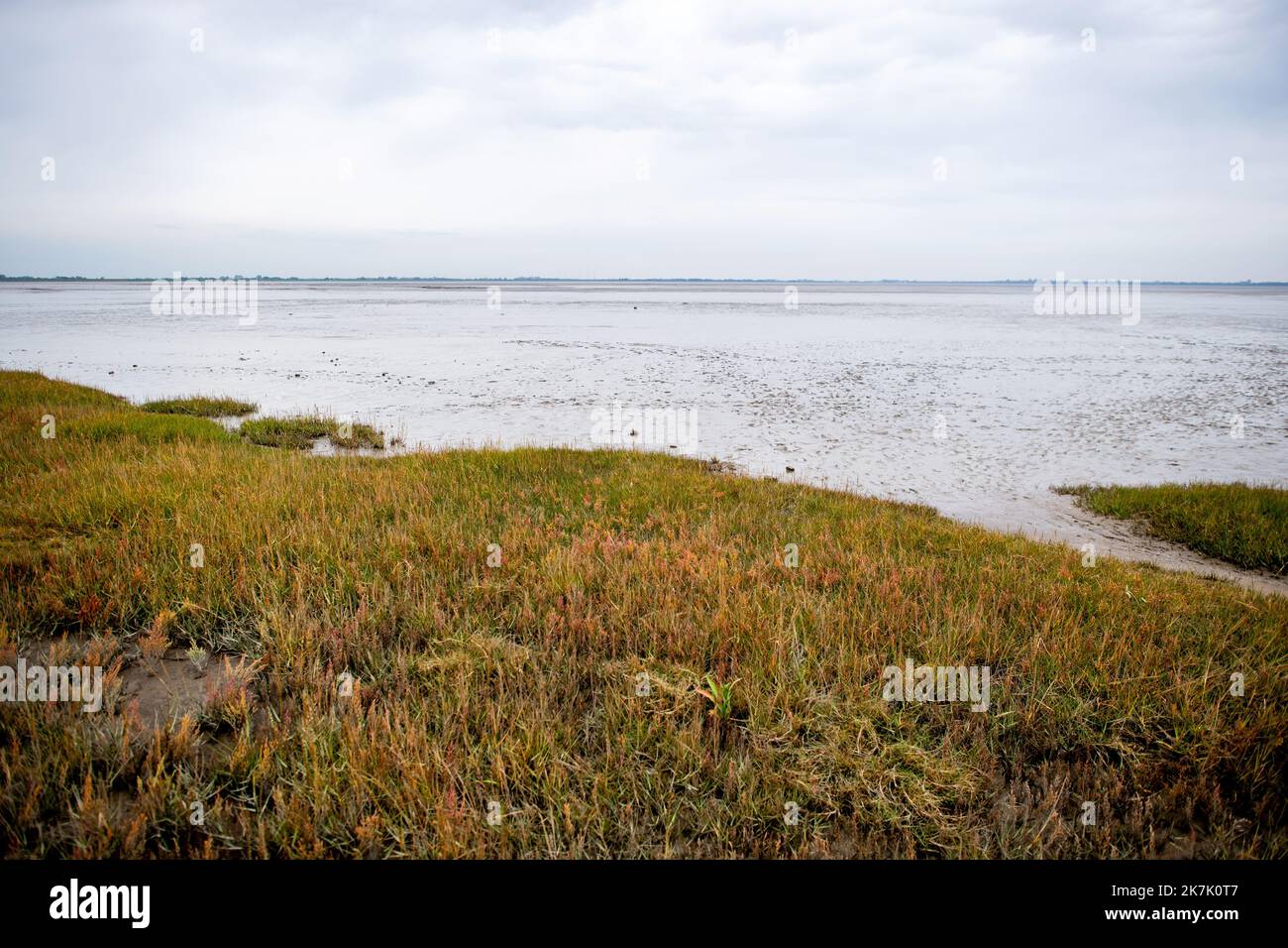 Dangast, Germania. 17th Ott 2022. Le paludi saline si estendono lungo la Baia di Giada con la bassa marea. Il Wadden Sea, patrimonio mondiale dell'umanità, si estende lungo la costa del Mare del Nord dai Paesi Bassi alla Germania fino alla Danimarca. Per 25 anni, un piano trilaterale è servito come base comune per la politica e l'amministrazione per proteggere l'area del Mare di Wadden. Credit: Hauke-Christian Dittrich/dpa/Alamy Live News Foto Stock