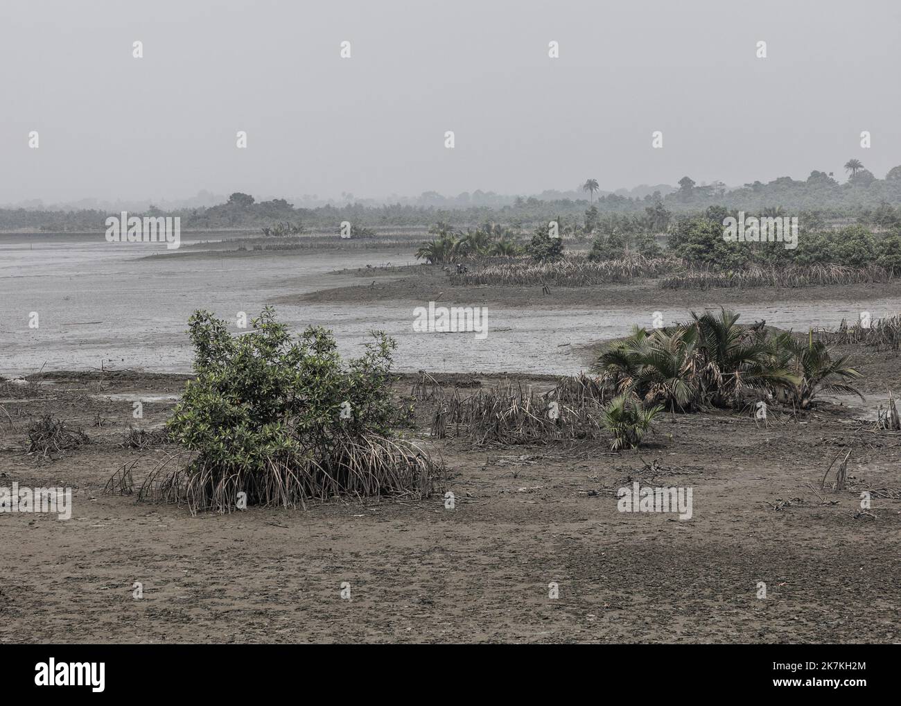 ©Sadak Souici / le Pictorium/MAXPPP - 21/01/2022 Sadak Souici / le Pictorium - 21/1/2022 - Nigeria - les principales entreprises petrolieres, tant locales qu'internationales, sont a l'origine d'une part importante de la pollution du delta (selon leurs propres, Shell et ENI auraient perdu a elles seules pres de 22 millions de lairs de brut entre 2011 et 2018), l'industrie du raffinage illegal n'est pas en reste. Dans le Delta du Niger, d'ou jaillissent quozidiennement pres de 2% de la production mondiale d'hydrocarbures, les marees noires se multiplent et ruinent d'innombrables comm Foto Stock