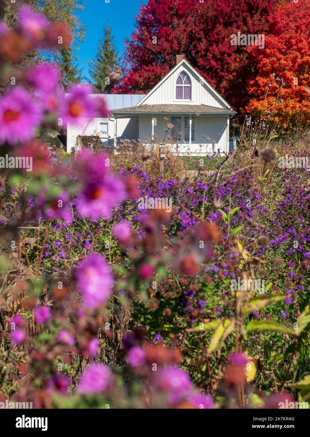 Grant Wood's American Gothic House, Eldon, Iowa, colori autunnali luminosi, cielo blu, Giorno di ottobre Foto Stock