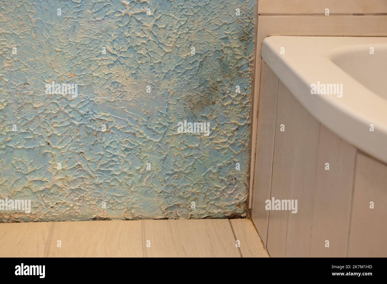 pavimento e box doccia con muffa da acqua e umidità sul muro in angolo, riparazioni in bagno, muffa e muffa sul muro nel bagno Foto Stock