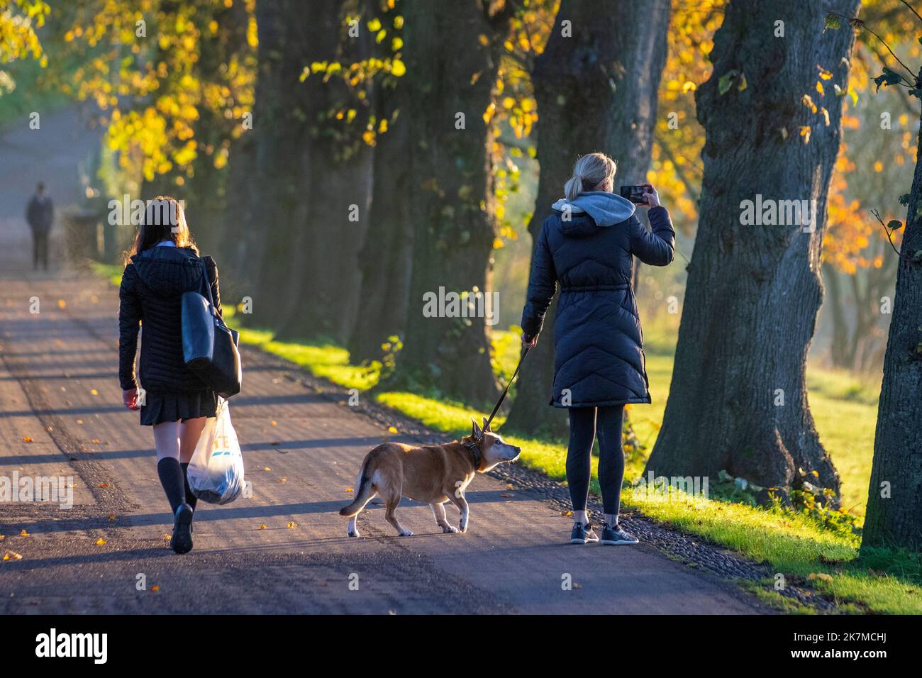 Preston, Lancashire. Meteo UK; 18 Ott 2022. Il sole sorge sopra il fiume Ribble mentre i residenti locali si allenano all'alba lungo Riverside Walk, un freddo inizio di giornata in nebbia. Avenham Park spazio per famiglie, piste ciclabili e sentieri per passeggiate nel nord-ovest dell'Inghilterra. Credit; MediaWorldImages/AlamyLiveNews Foto Stock