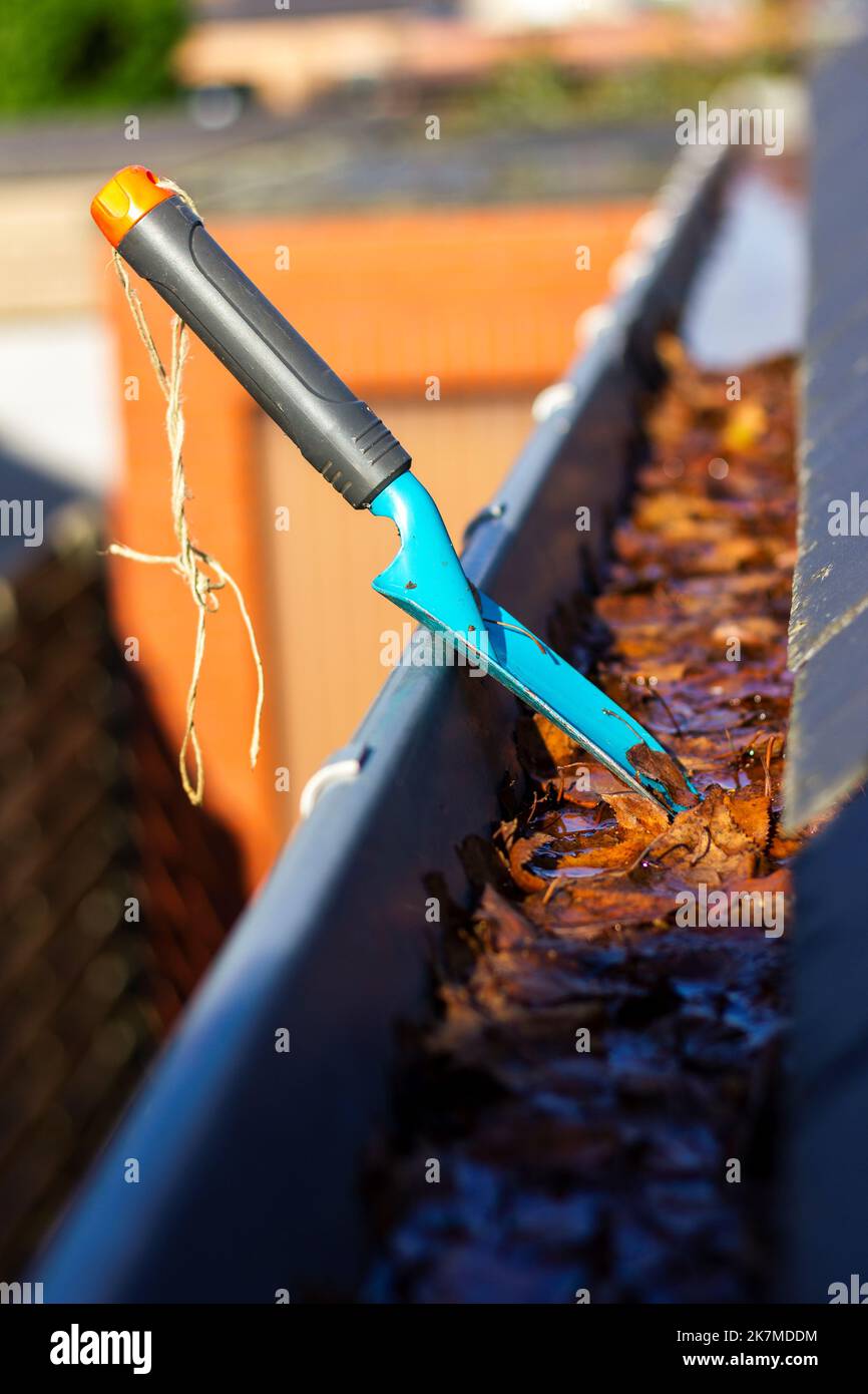 Un ritratto di una grondaia del tetto piena di foglie autunnali cadute in una giornata di sole con una piccola pala da giardino blu in esso di qualcuno che sta pulendo la grondaia du Foto Stock