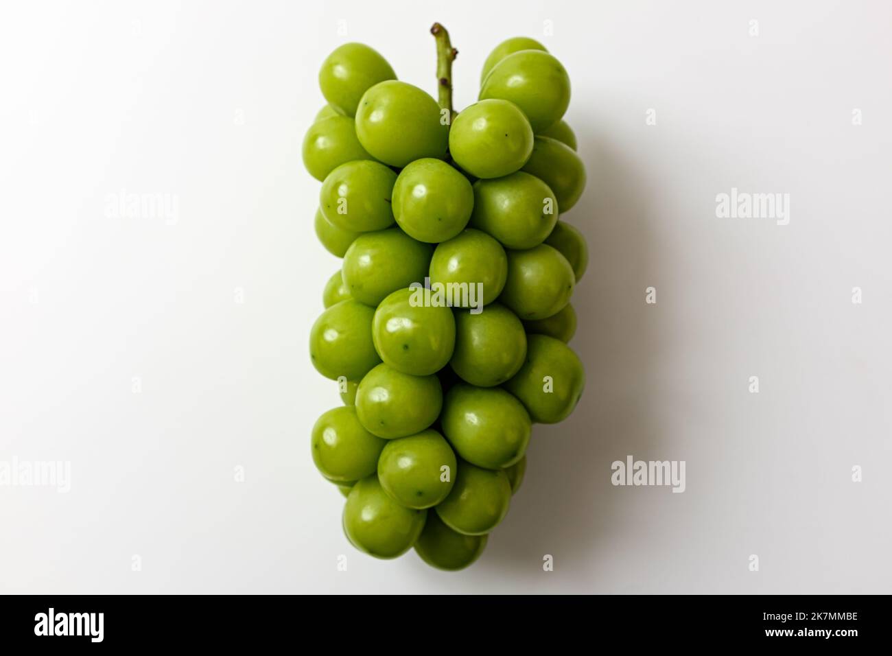 Risplende Muscat su uno sfondo bianco Foto Stock