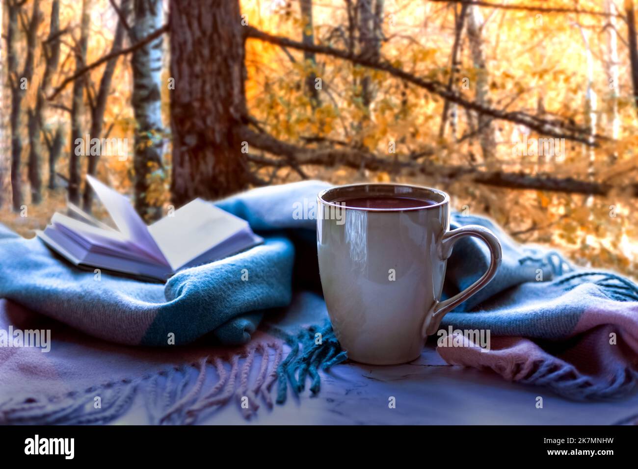 L'idea di coziness, hugge, comodità domestica. La tristezza della luce autunnale. Caffè, una coperta e un libro sullo sfondo di un paesaggio boschivo in una vigilia autunnale Foto Stock