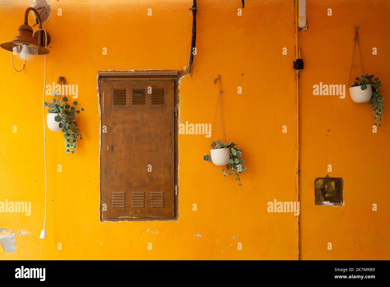 Un muro arancione in una strada a Parenzo, Istria, Croazia. La parete è decorata con vasi di piante, una lampada arrugginita, una porta in acciaio e alcune linee elettriche. Foto Stock