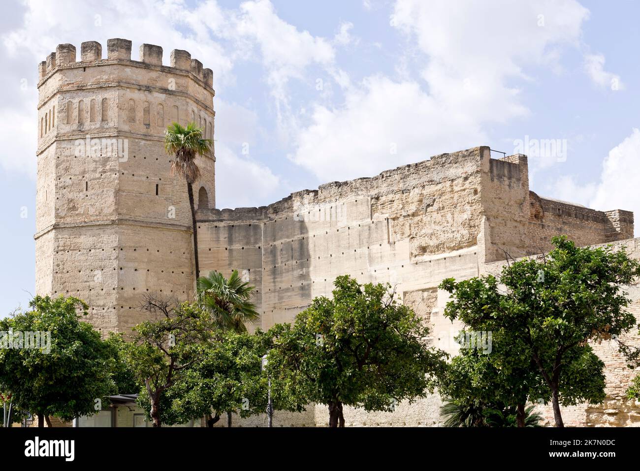 Alcázar de Jerez, Jerez de la Frontera, Andalusia, Spagna Foto Stock