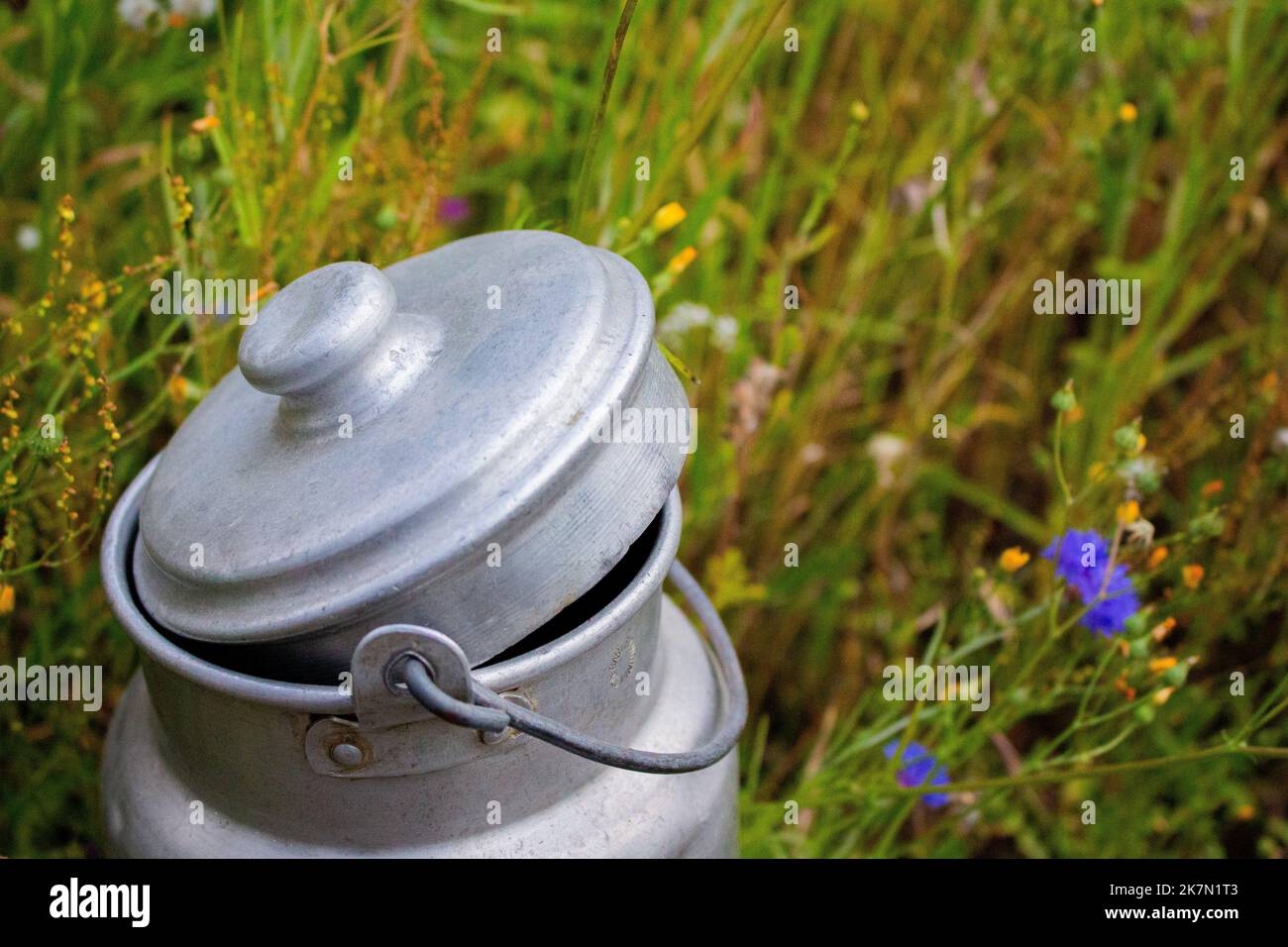Un primo piano di latte d'argento può con campo verde con fiori sullo sfondo Foto Stock