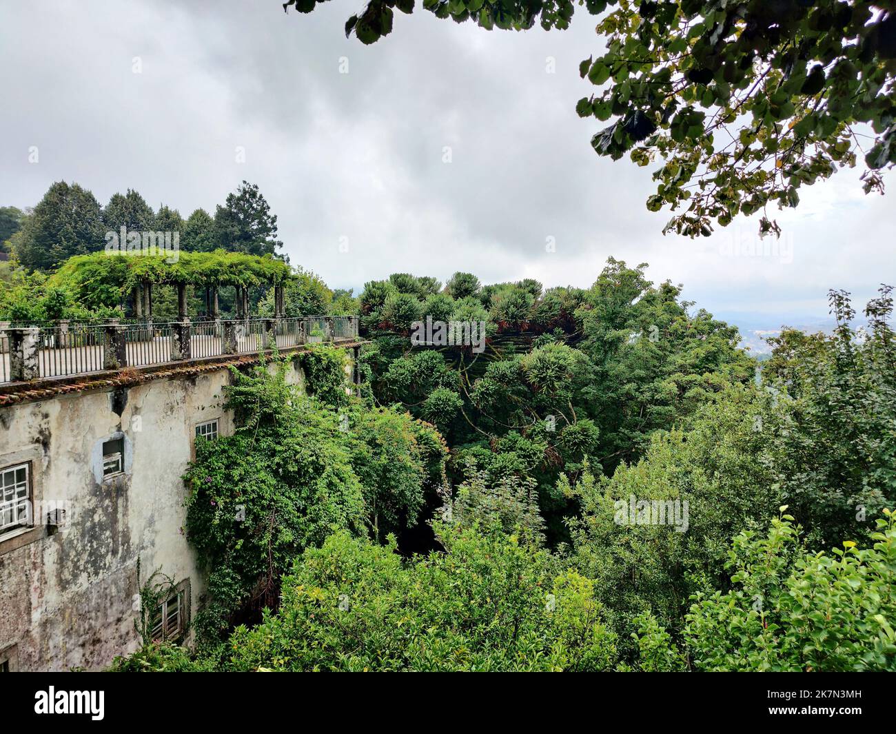 Gli alberi sempreverdi e le piante al parco di Bom Jesus do Monte sotto il cielo nuvoloso, Braga, Portogallo Foto Stock