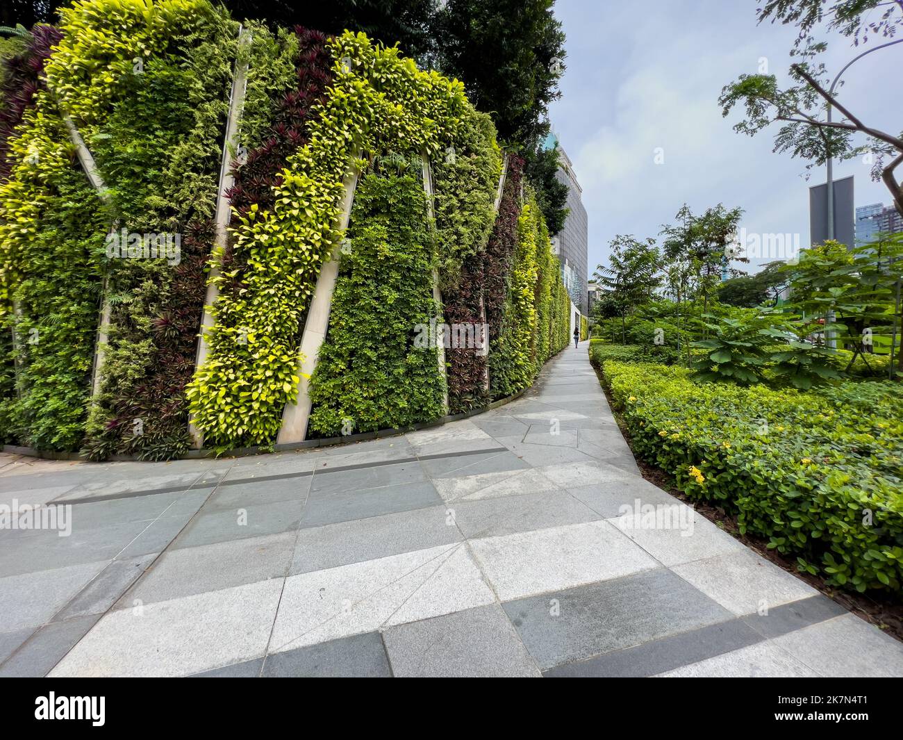 Giardino verticale artificiale all'aperto lungo le strade di Singapore Foto Stock
