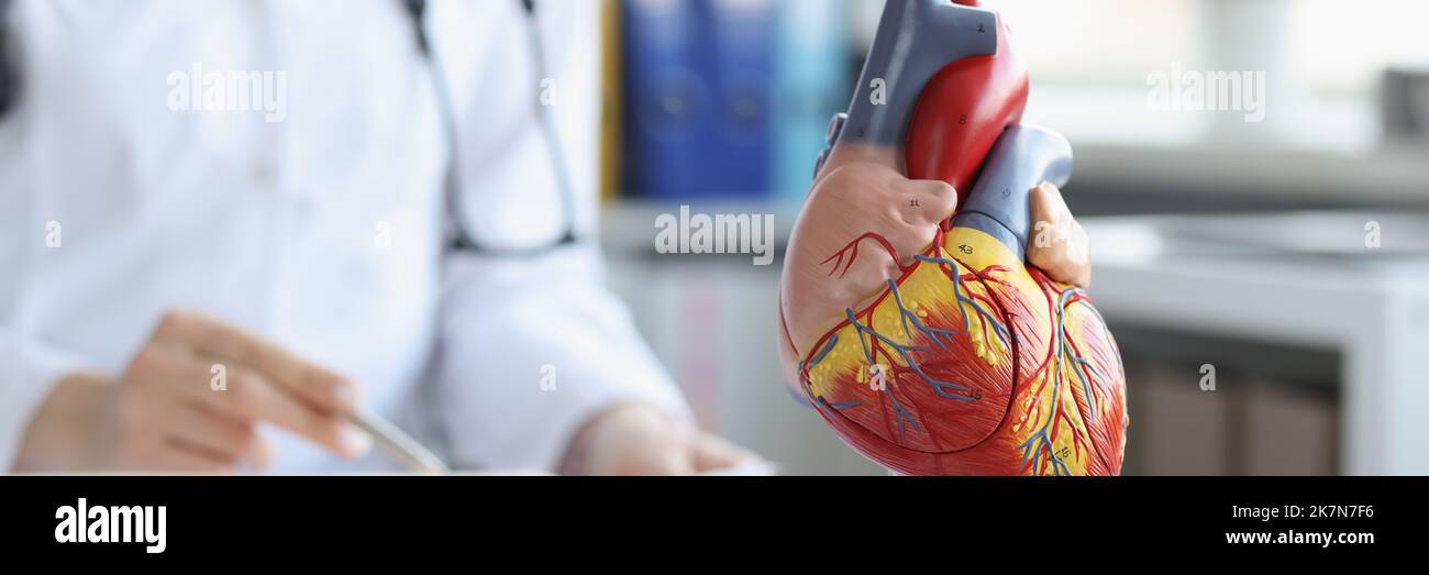 Modello anatomico del cuore sul tavolo del medico, sfocato Foto Stock