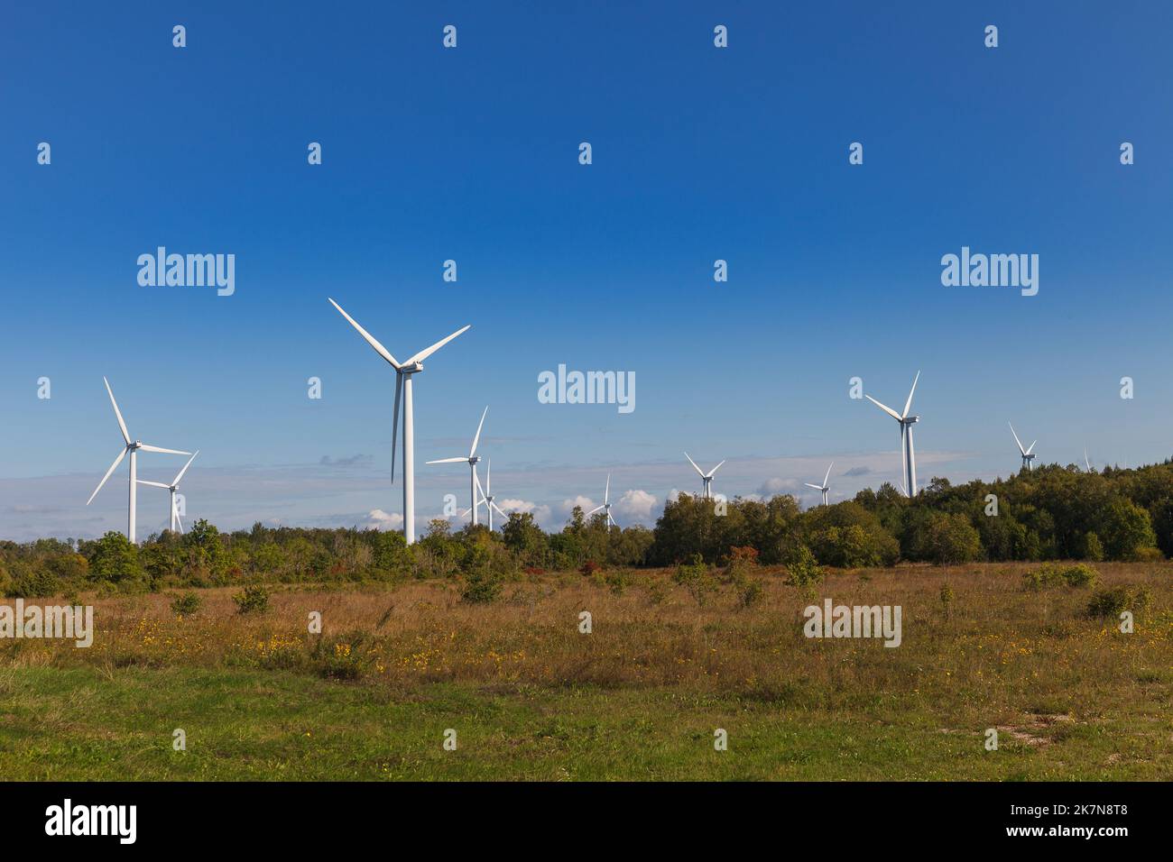 Turbine eoliche che producono elettricità, campo a Paldiski, Estonia Foto Stock