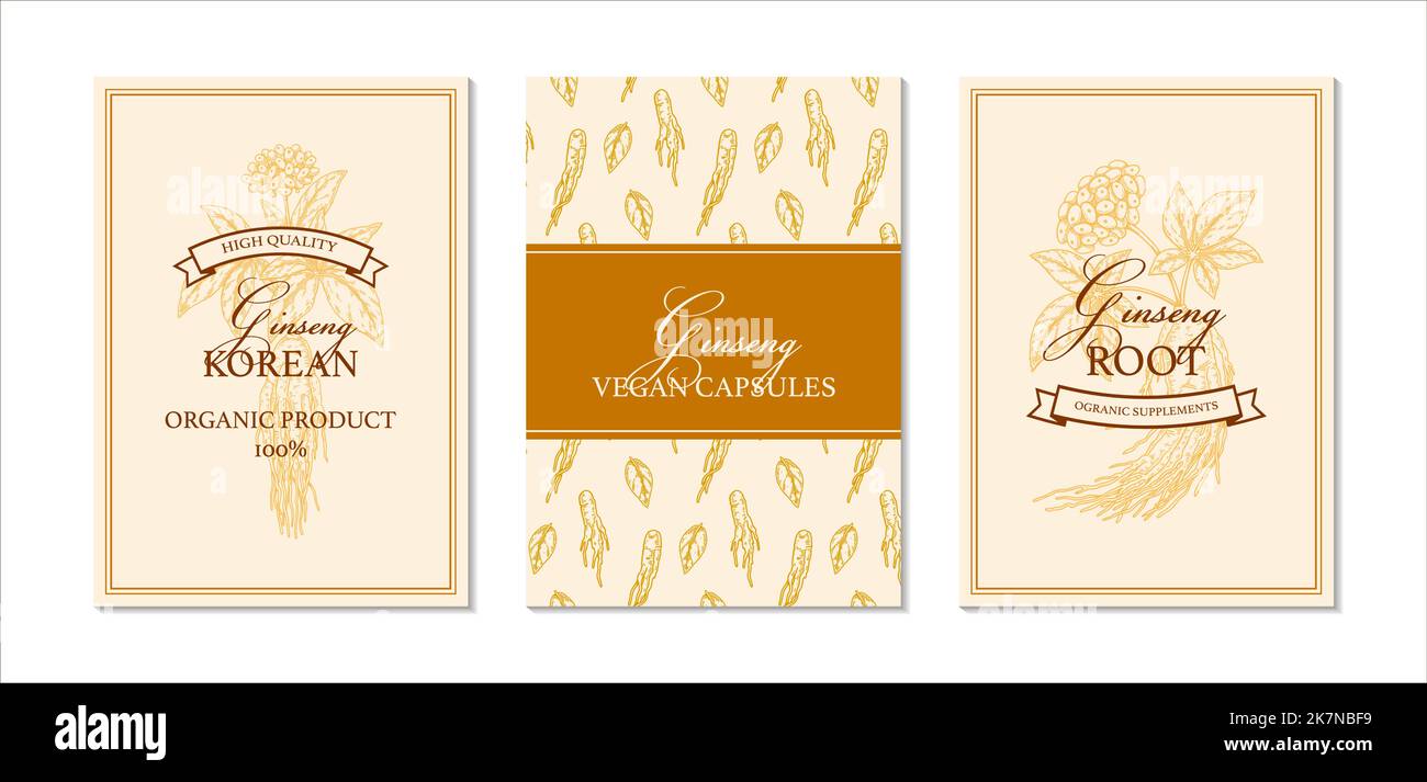 Set di confezioni di ginseng disegnate a mano. Illustrazione del vettore botanico nello stile di schizzo Illustrazione Vettoriale