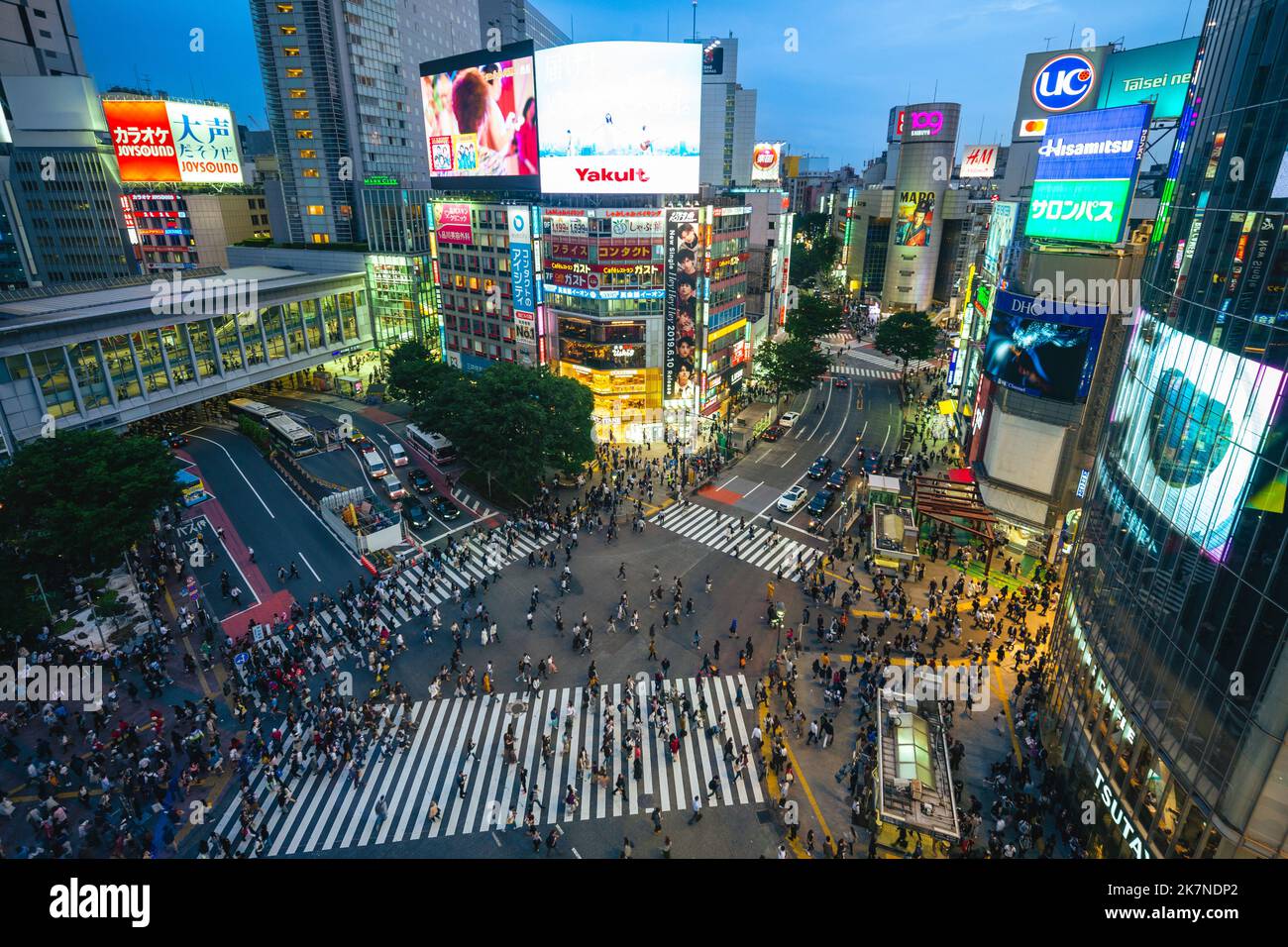 12 giugno 2019: Shibuya Crossing, un famoso e iconico incrocio, anche il più trafficato di fronte alla Stazione di Shibuya, Tokyo, giappone. Centinaia di p Foto Stock